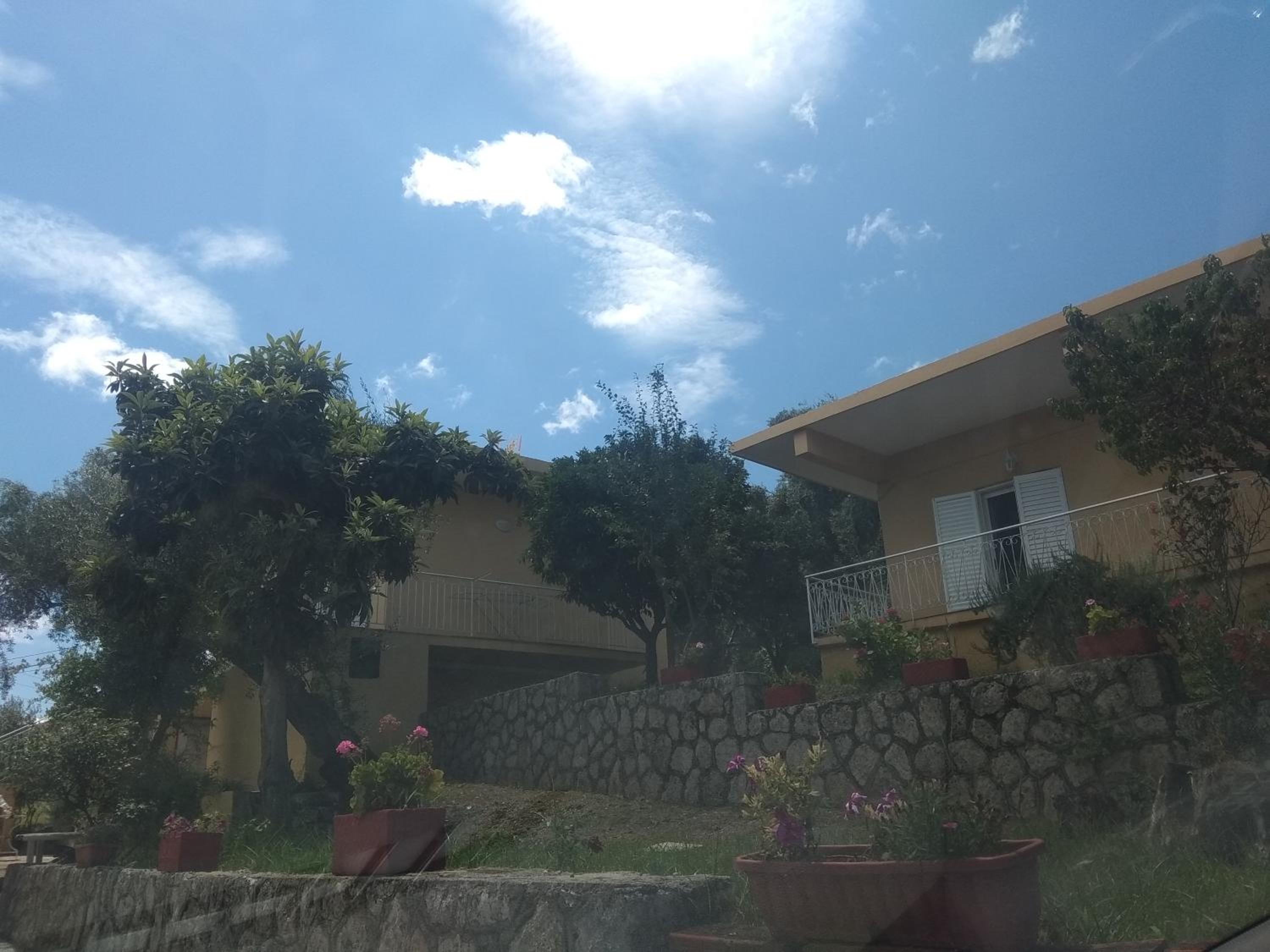 Photo 29