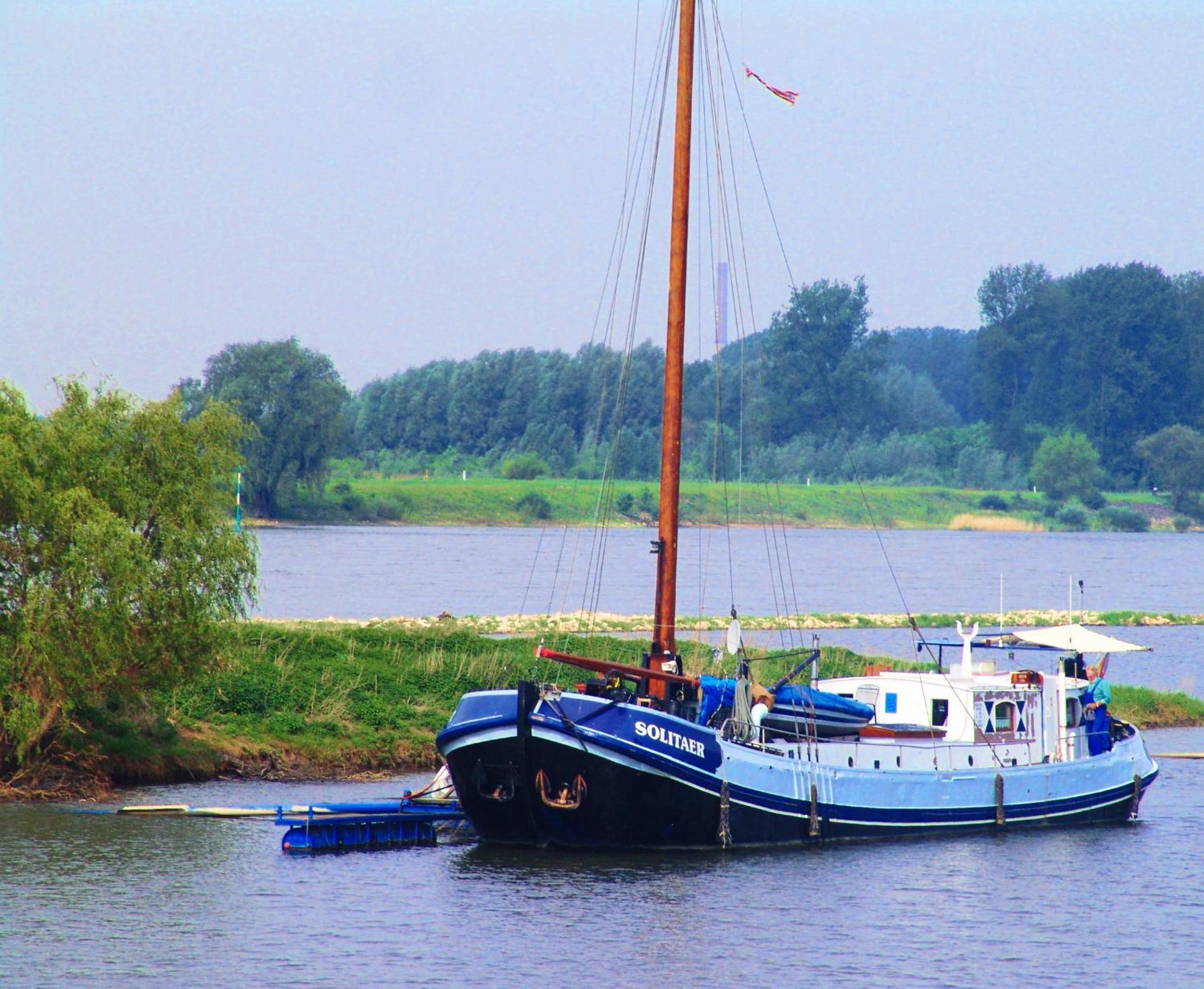 Rhein River Guesthouse - direkt am Rhein