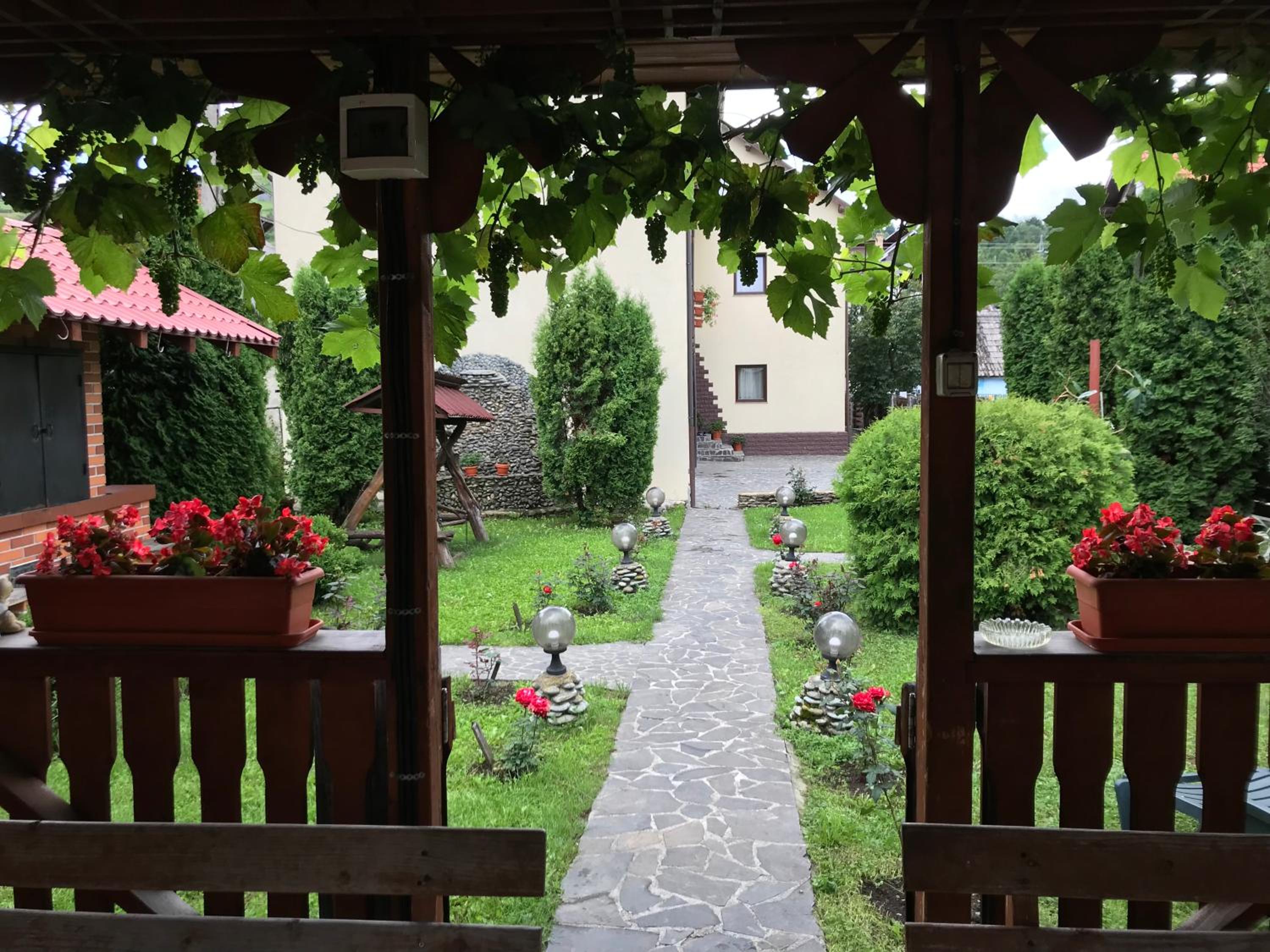 Dor de munte view 5