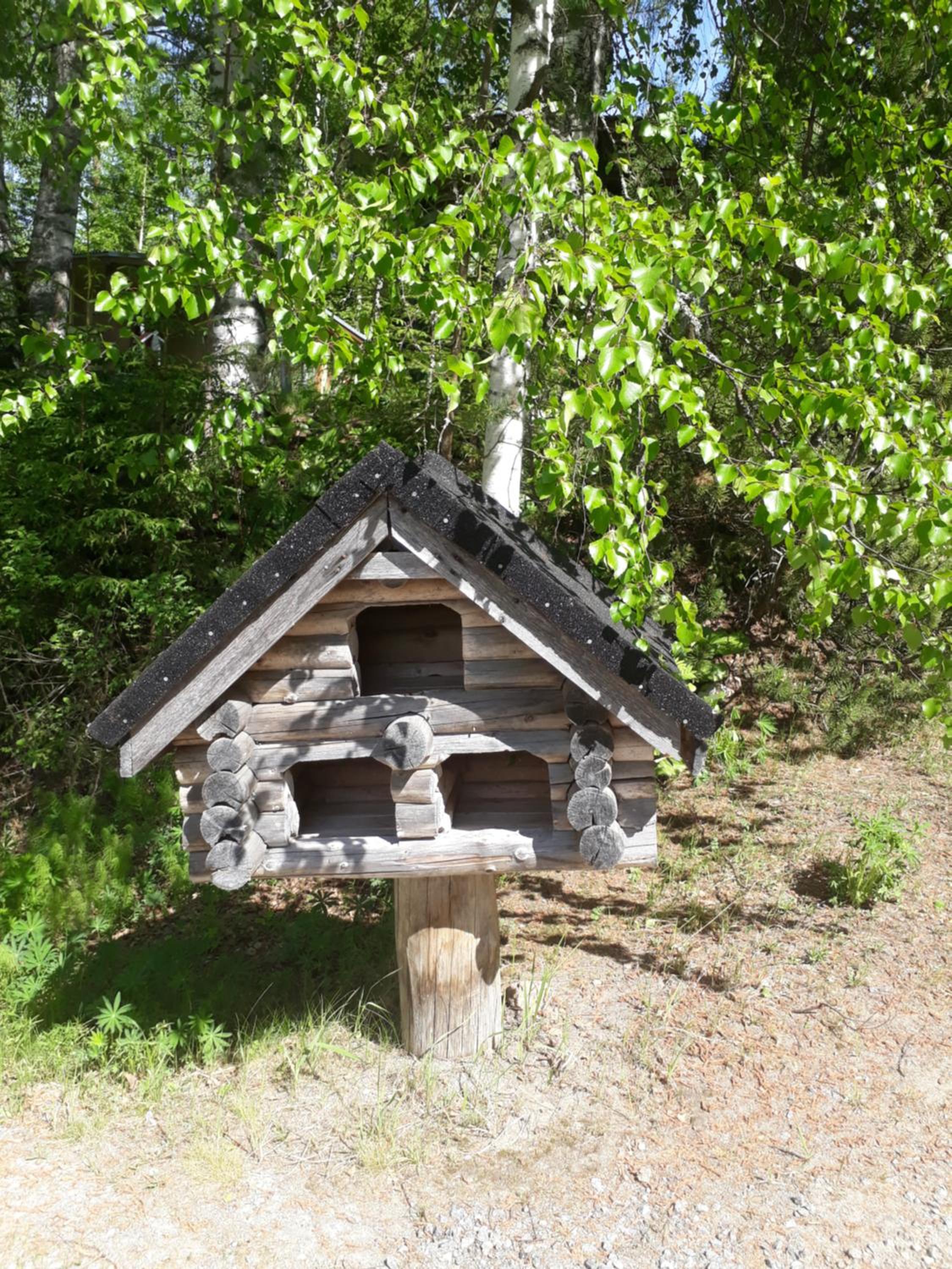 Photo 9