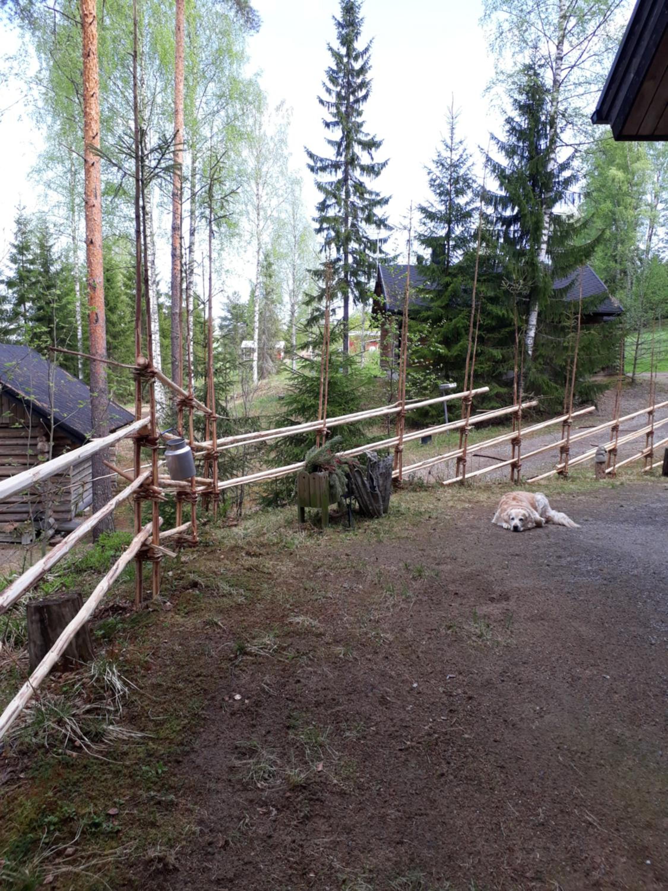 Kinkamon Pirtti view 2