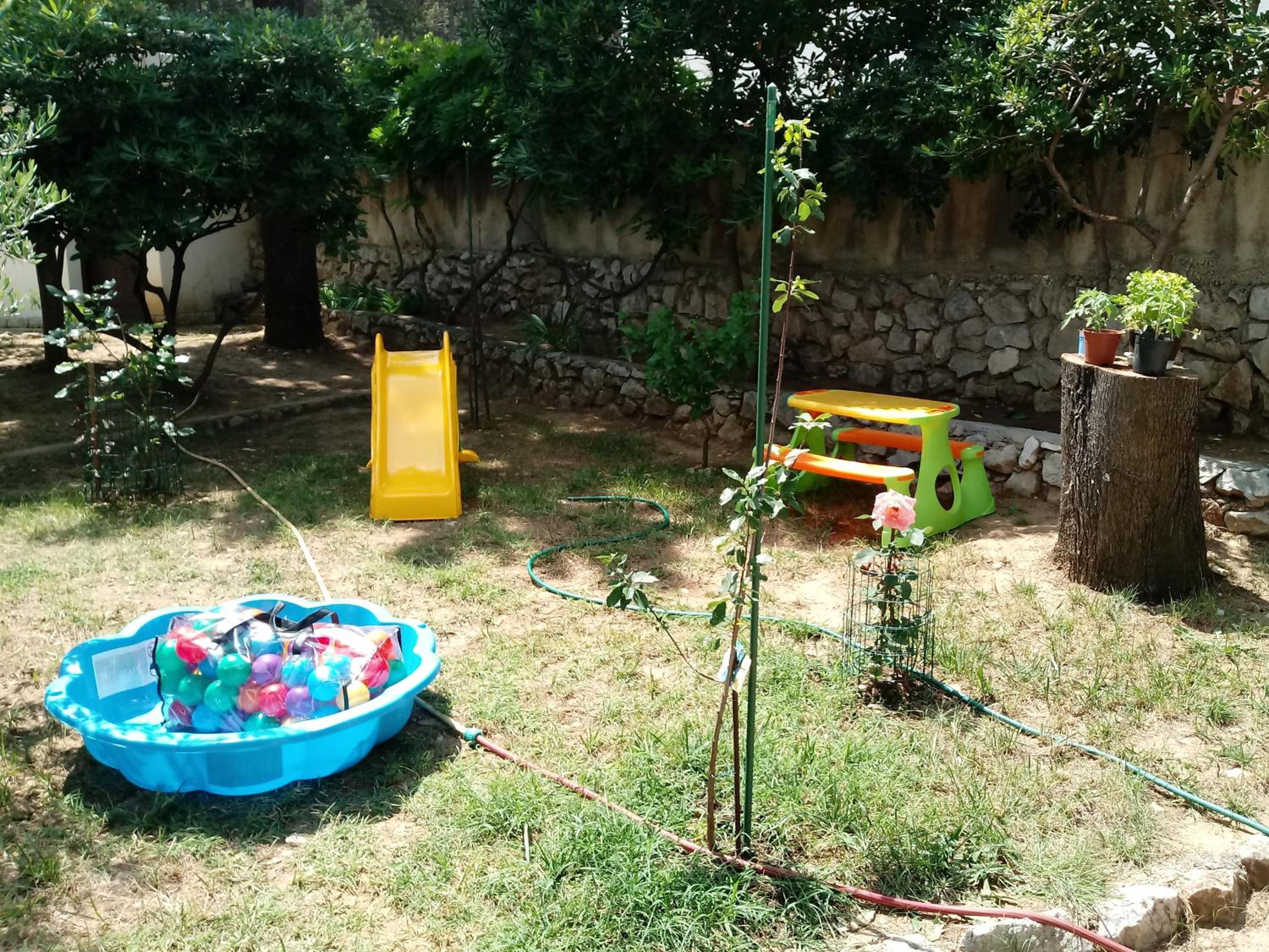 Photo 11