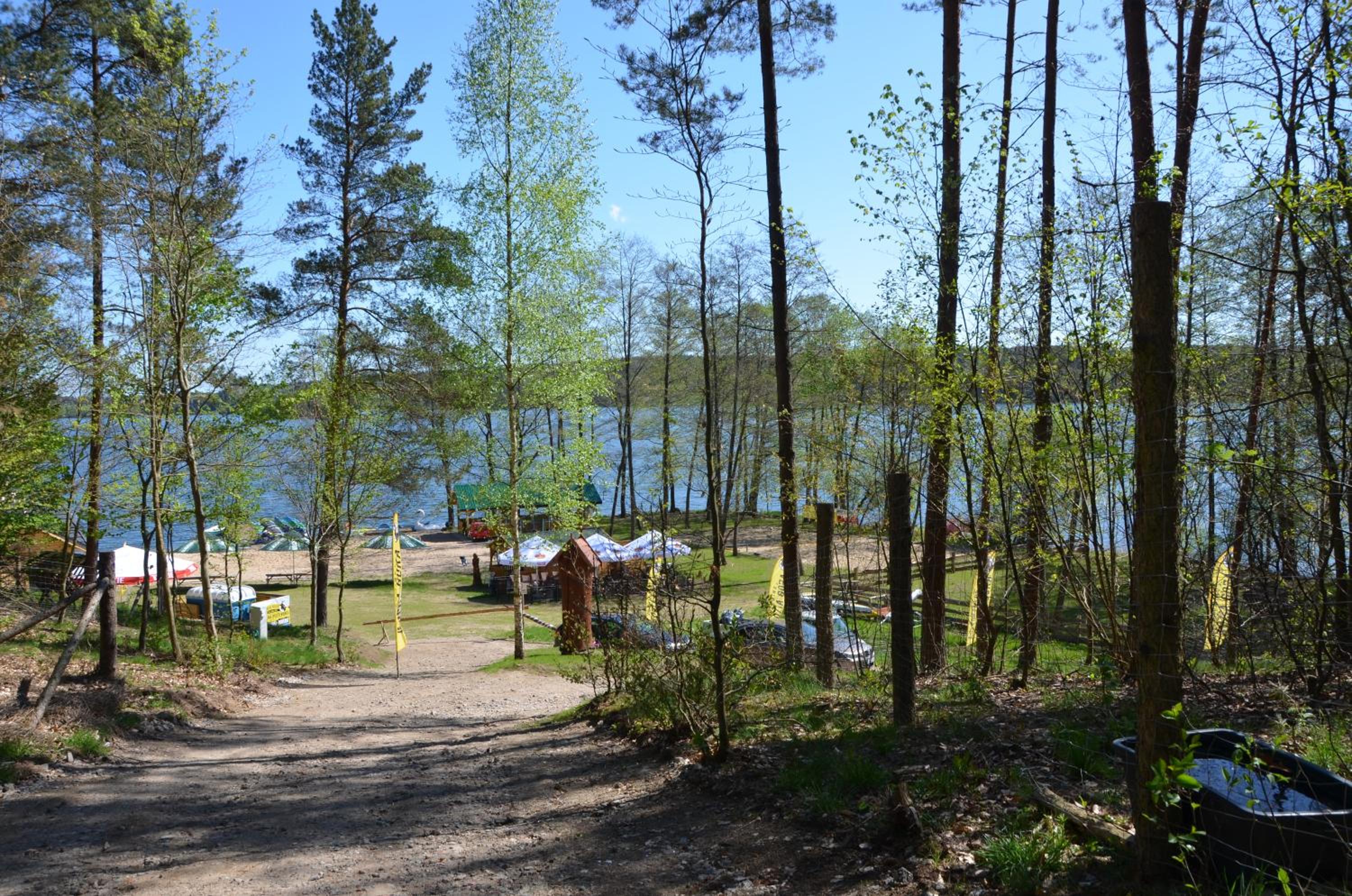 Photo 8