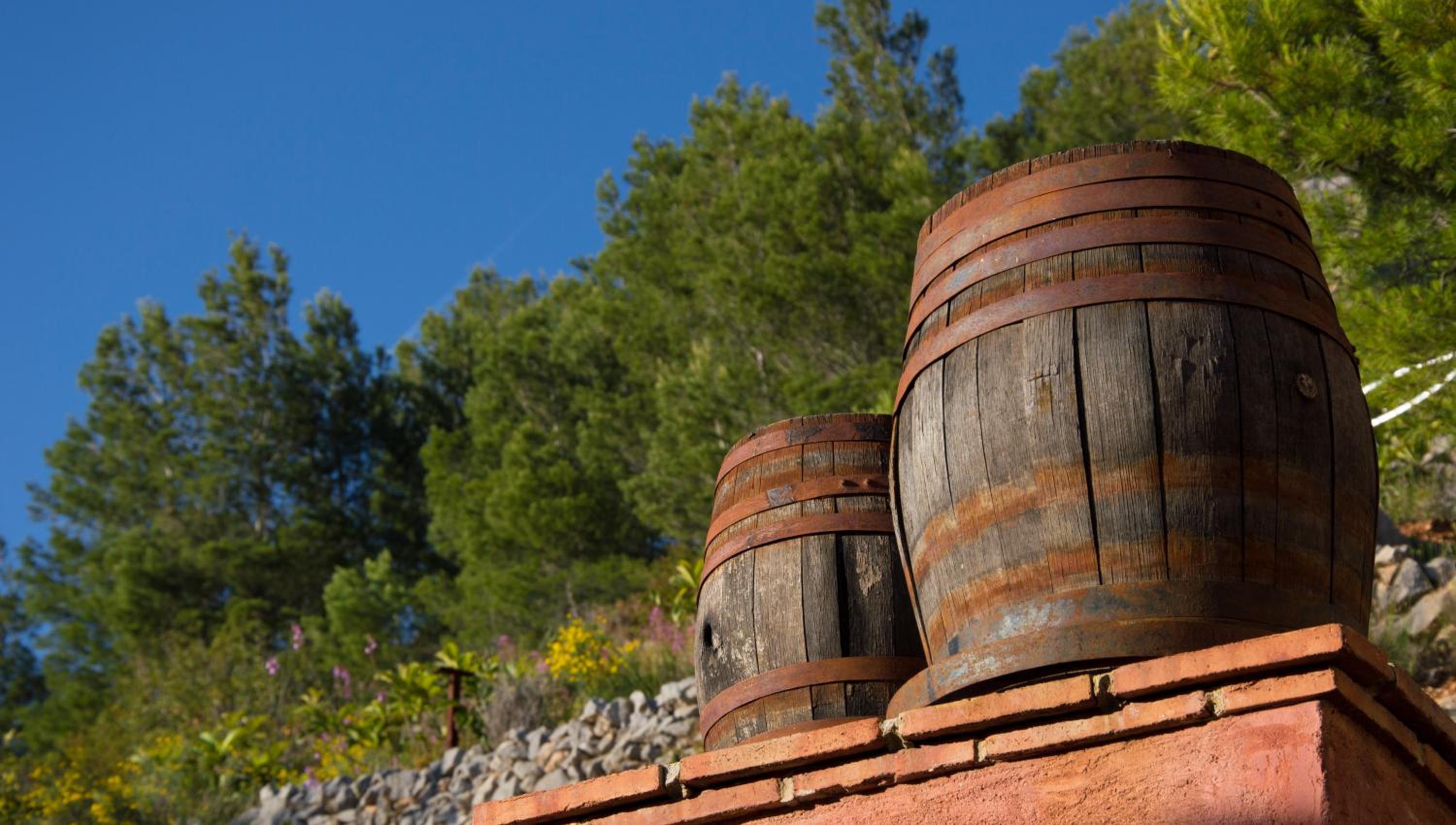 Finca el Tossal - Adults Only