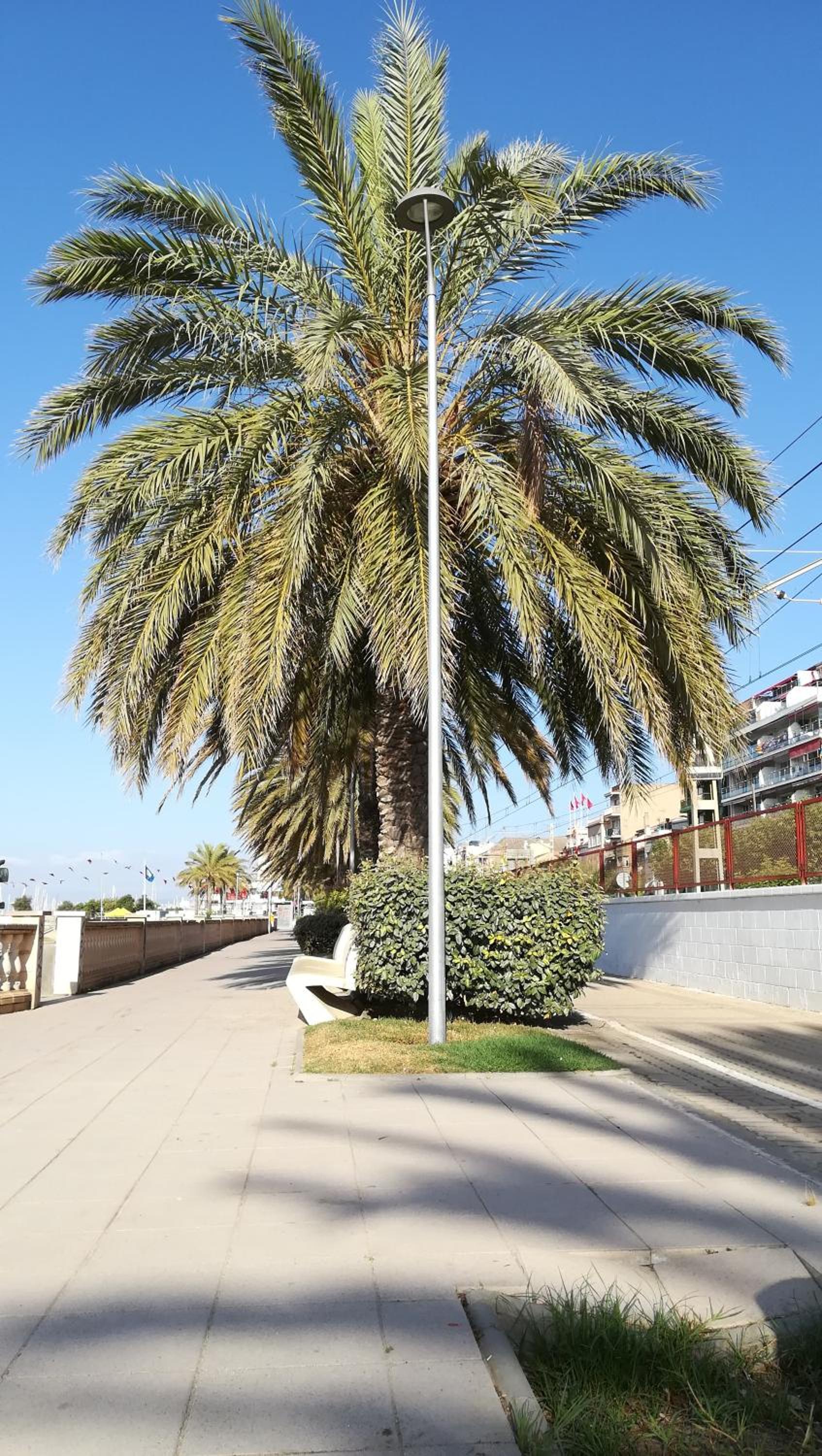 Terrassa de Mar Apartment, Vista Playa