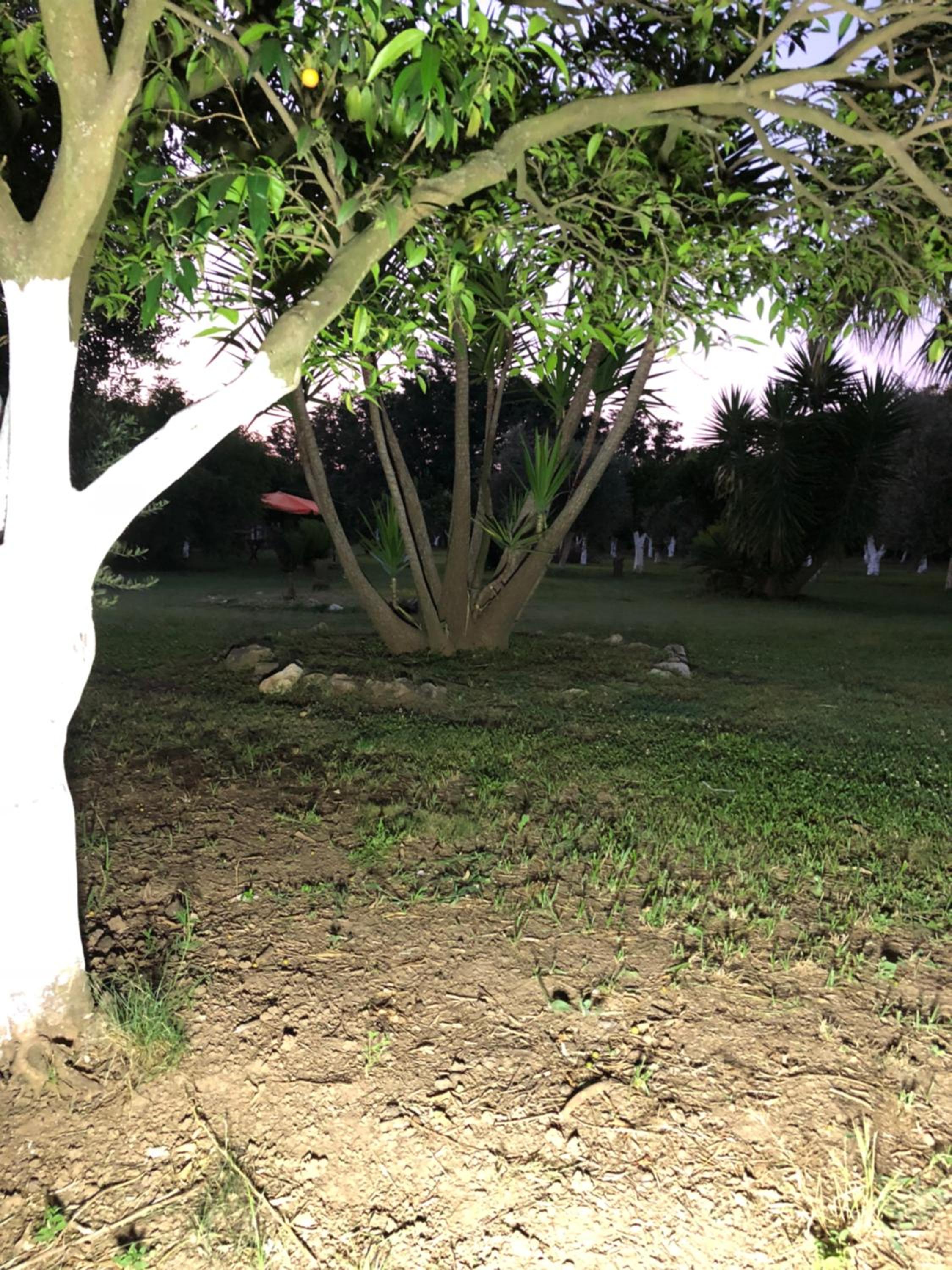 Decri resort, photo 61