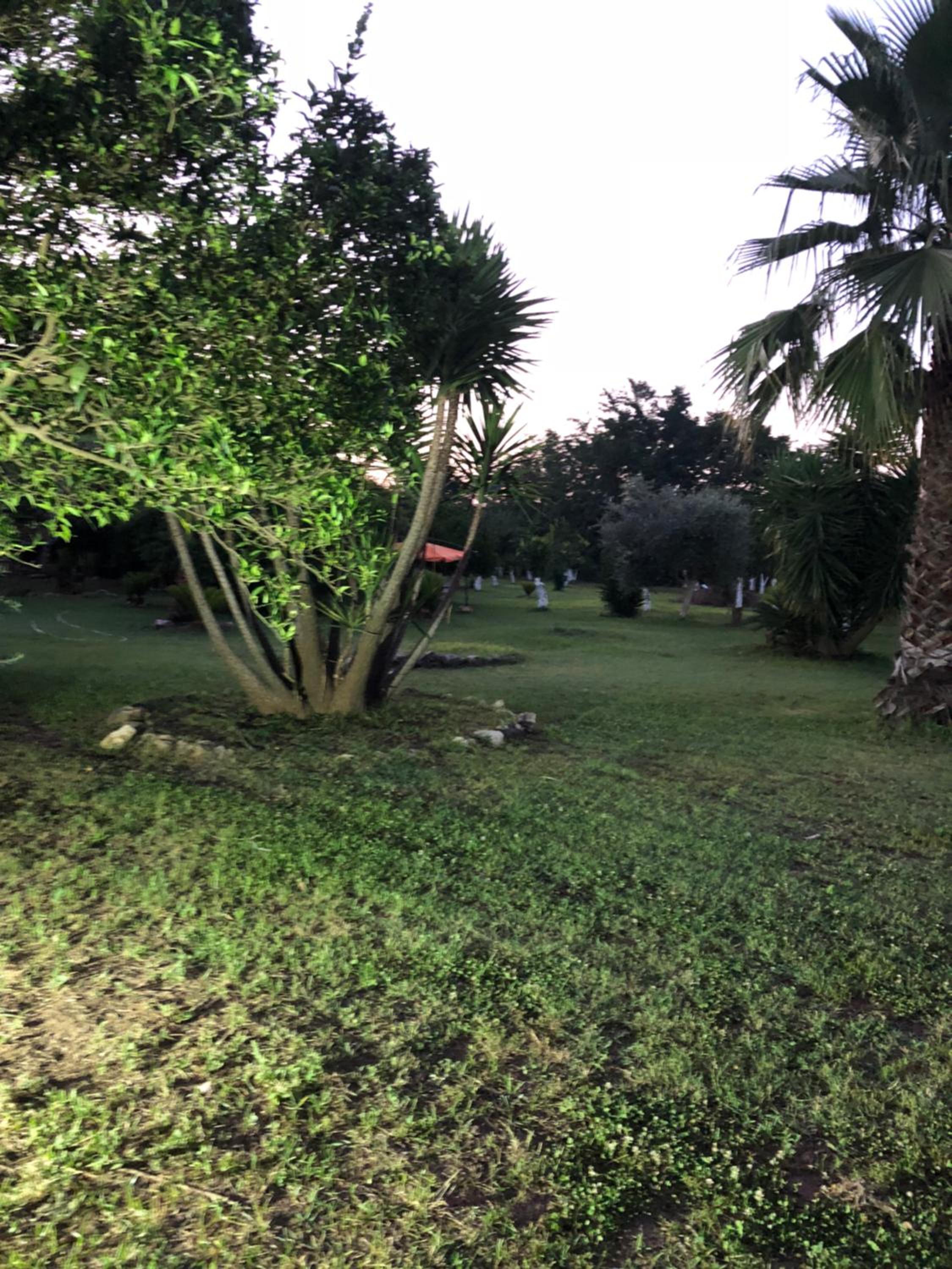 Decri resort, photo 94