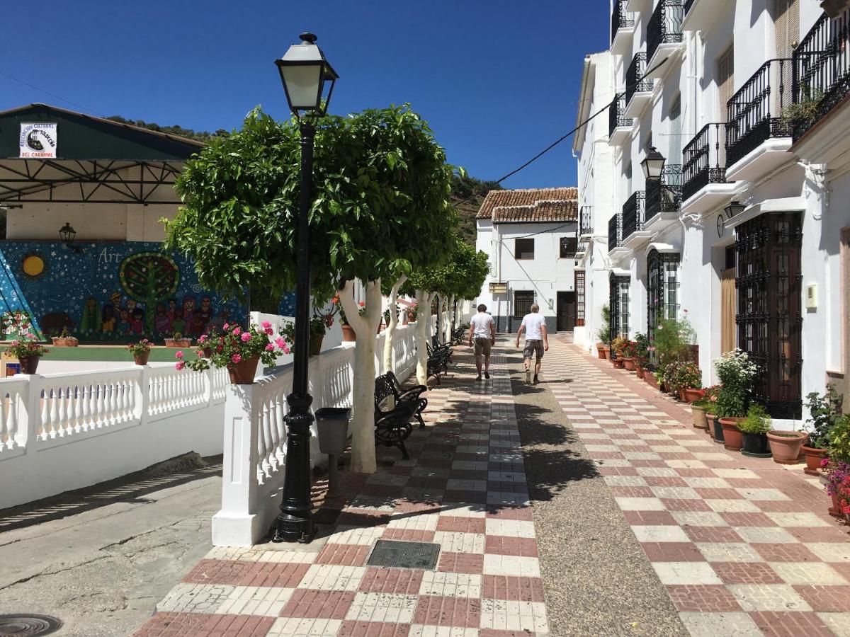Casa Merengue photo 5