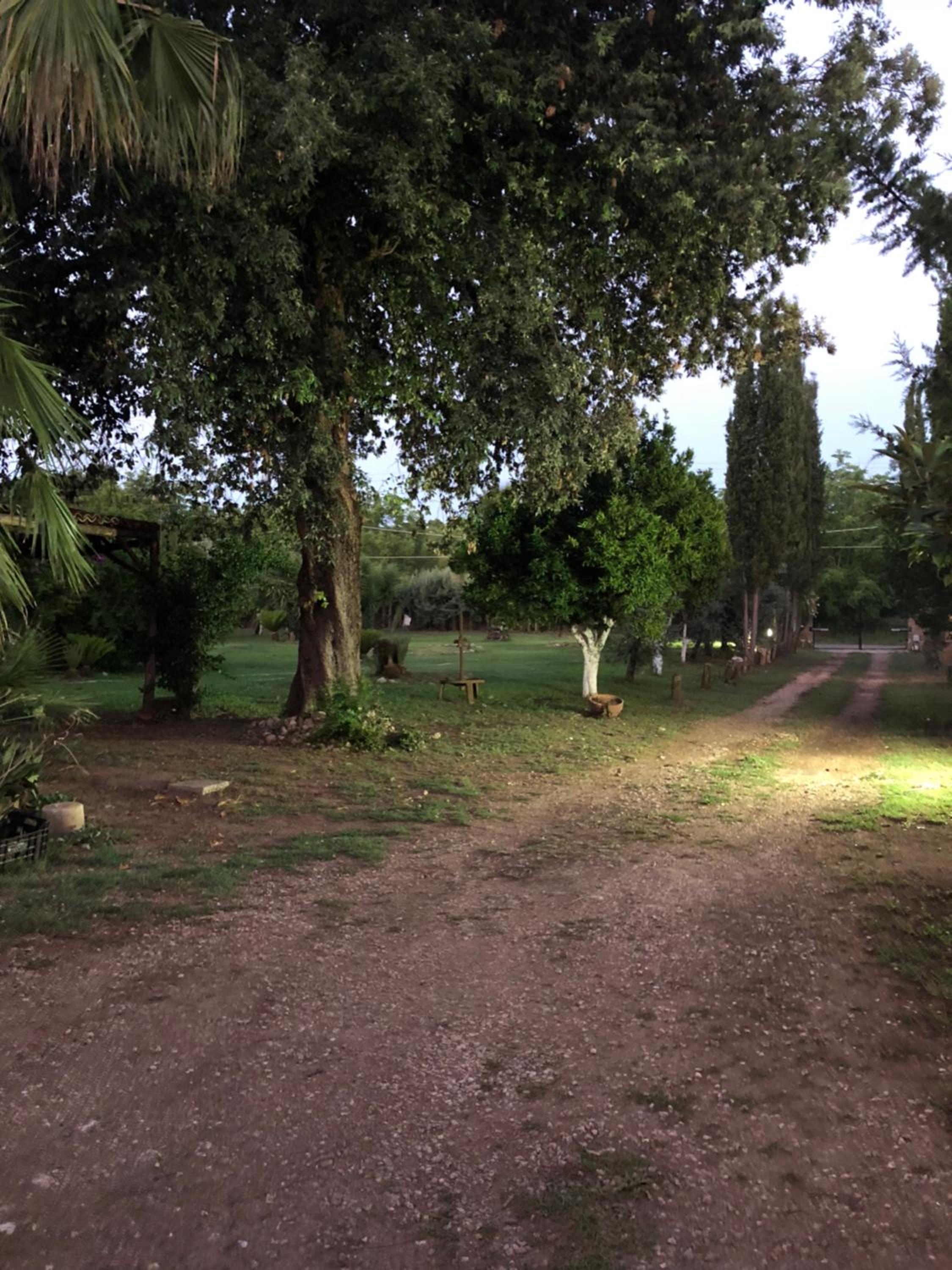 Decri resort, photo 167