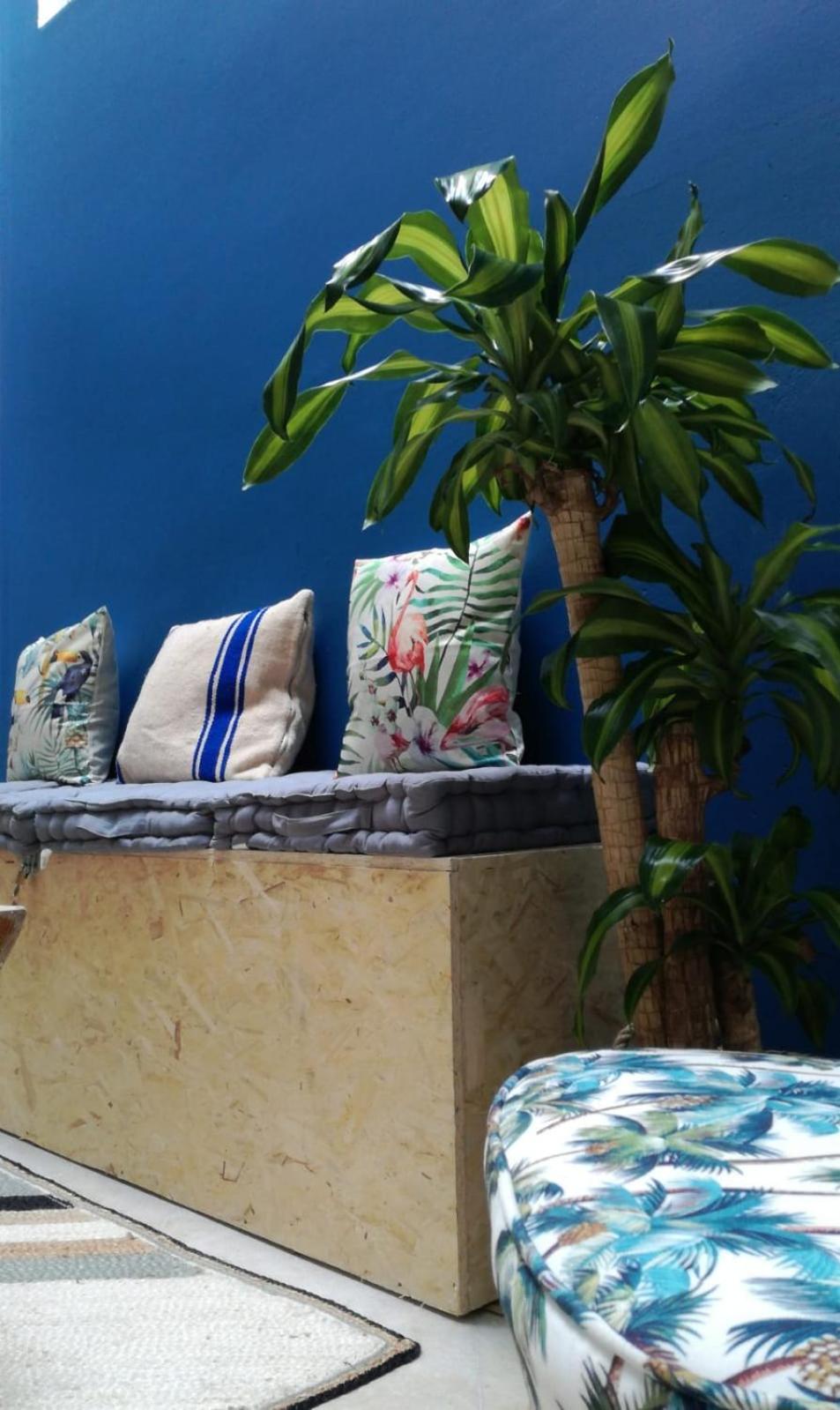 The Urban Jungle Hostel