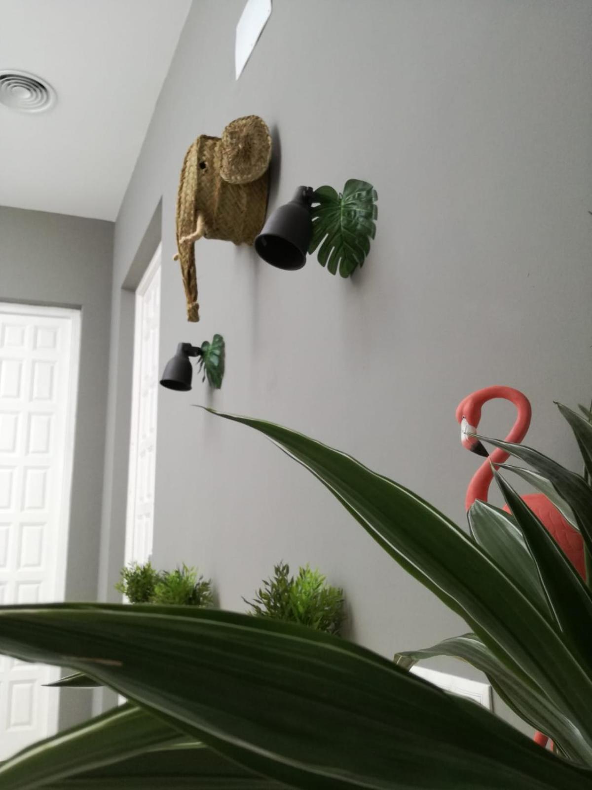 The Urban Jungle Hostel