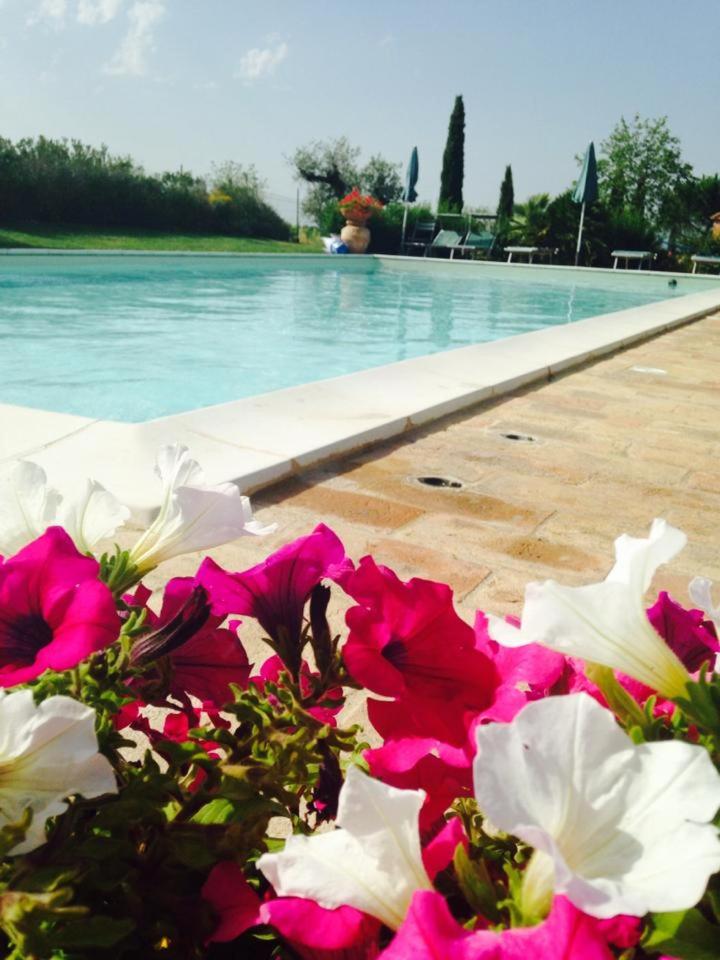 Agriturismo I Romiti view 5
