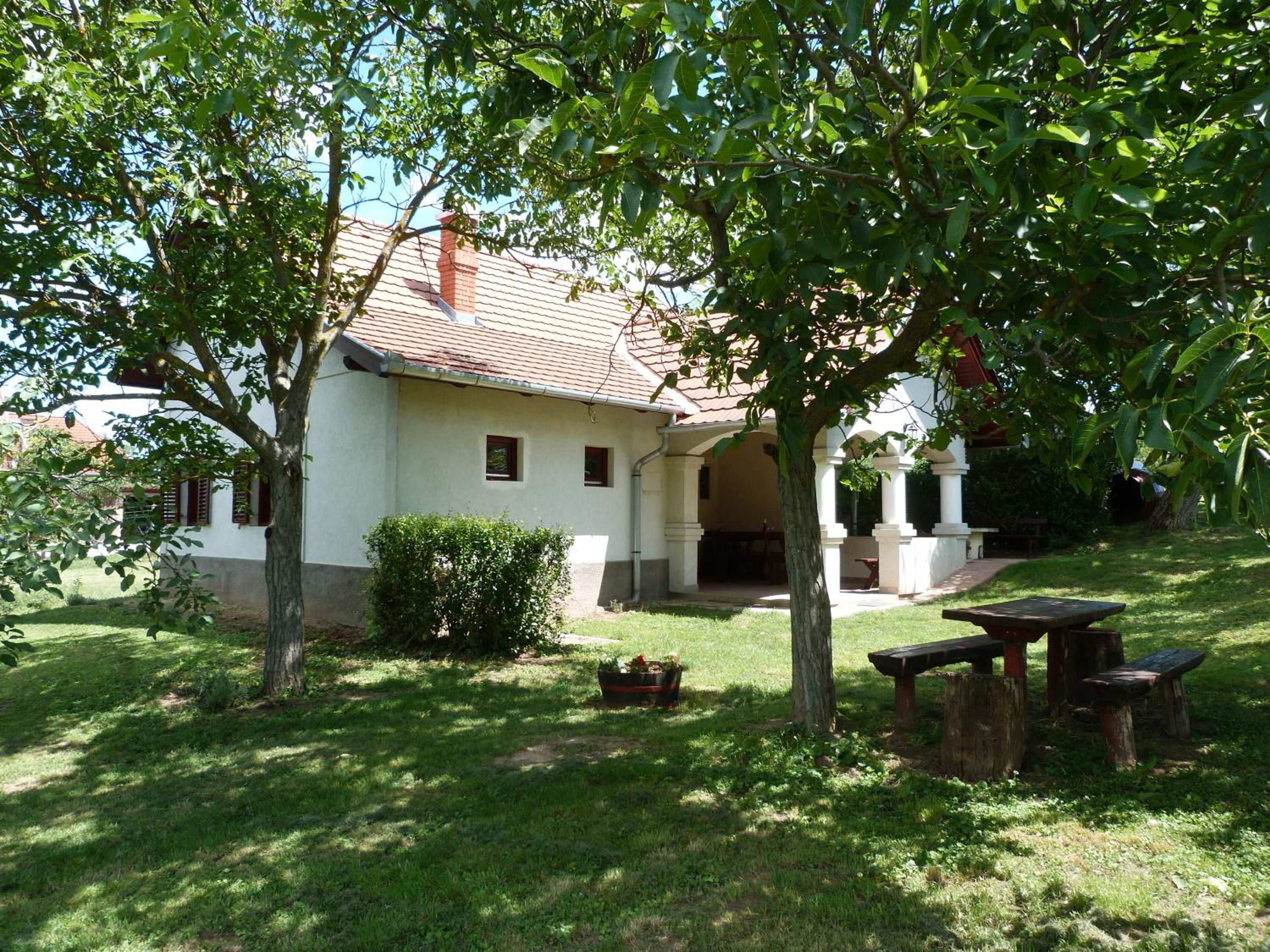 Photo 7