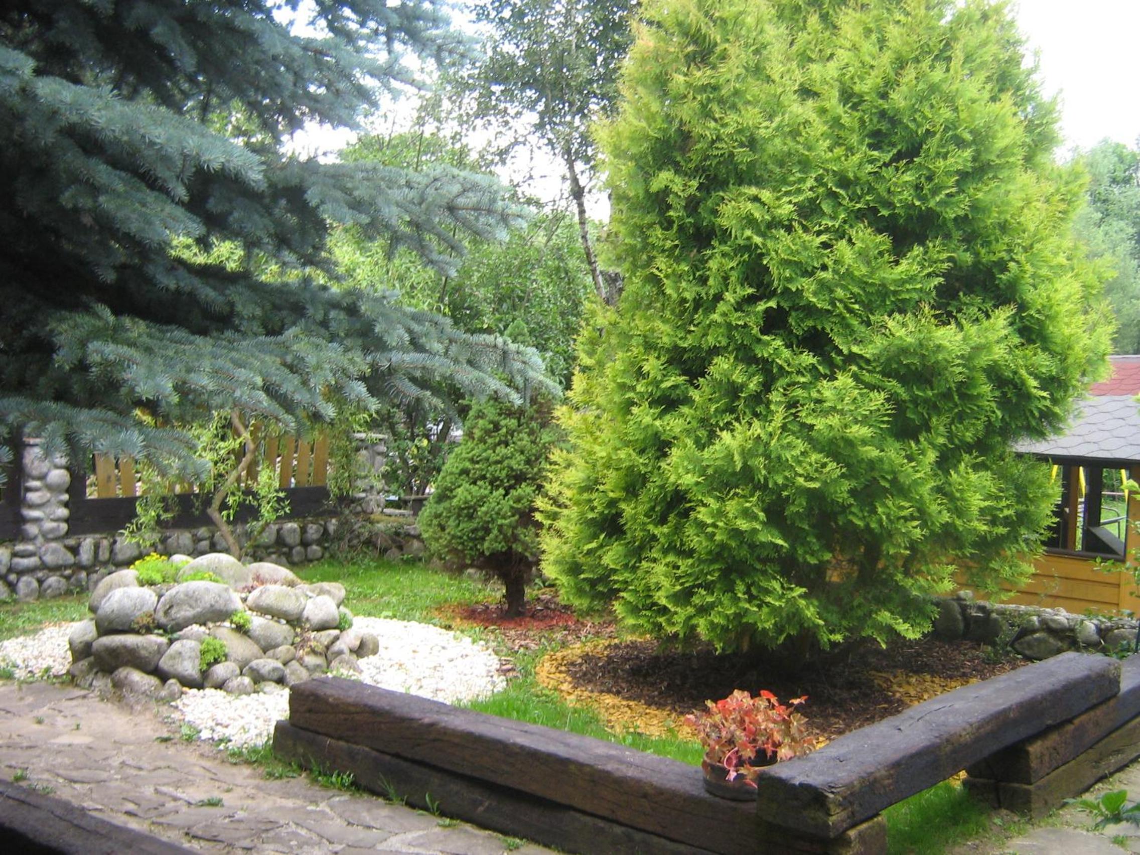 Photo 39