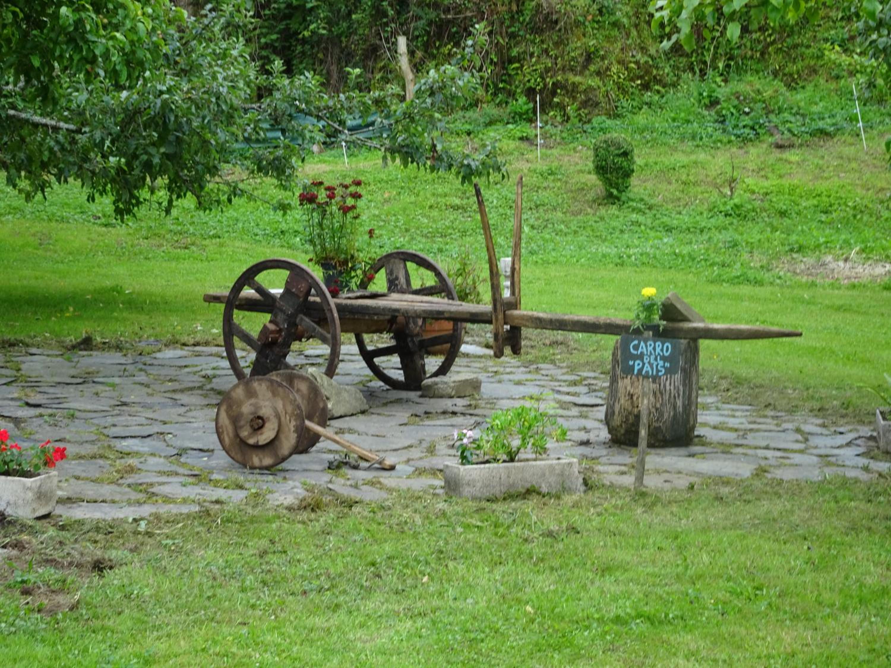 Photo 9