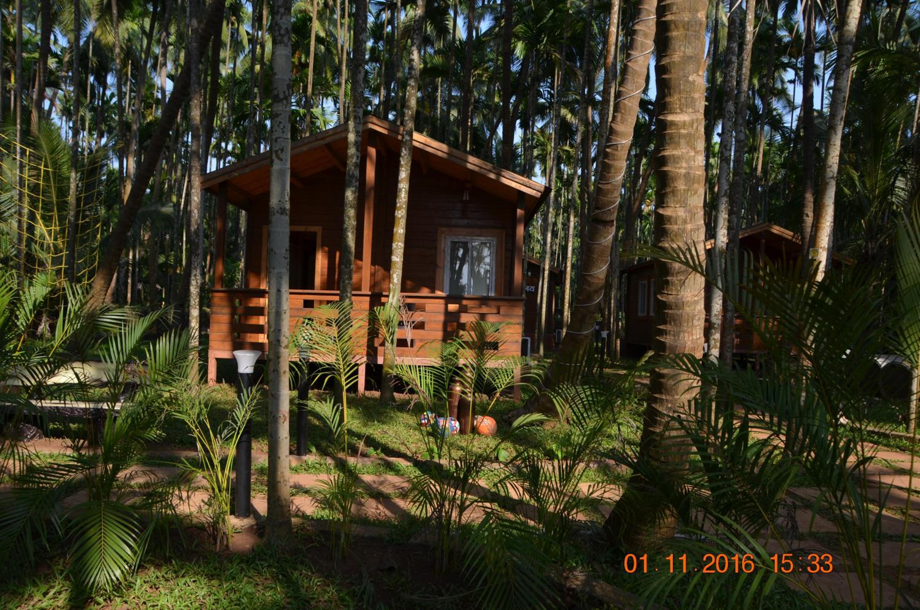 Photo 14