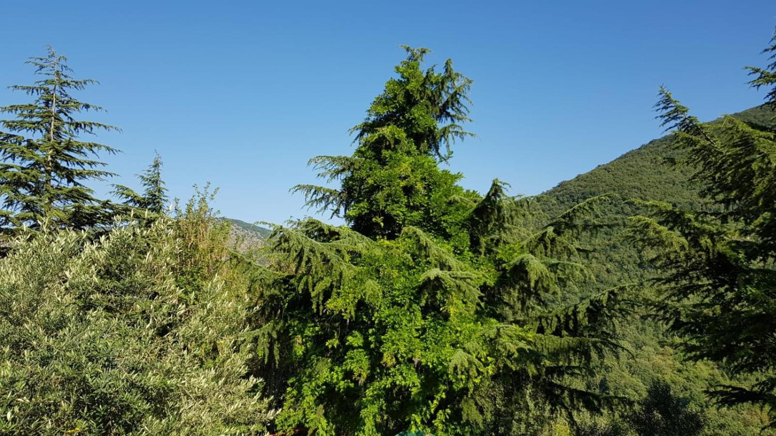 Photo 32