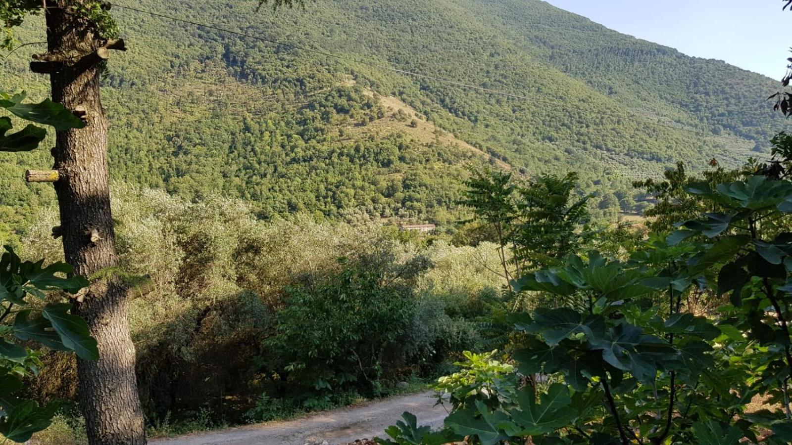 villa del maestro view 2