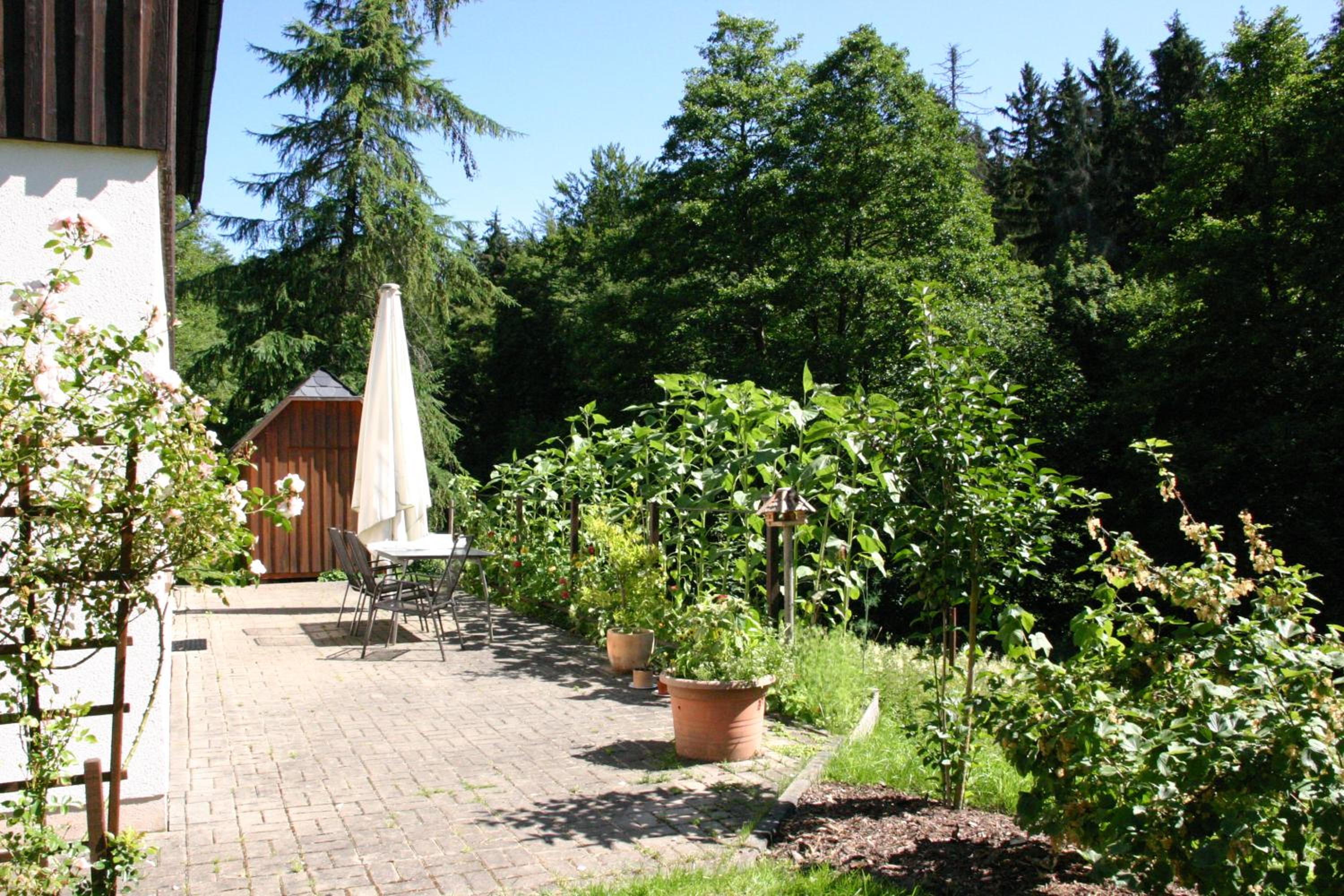 Photo 23