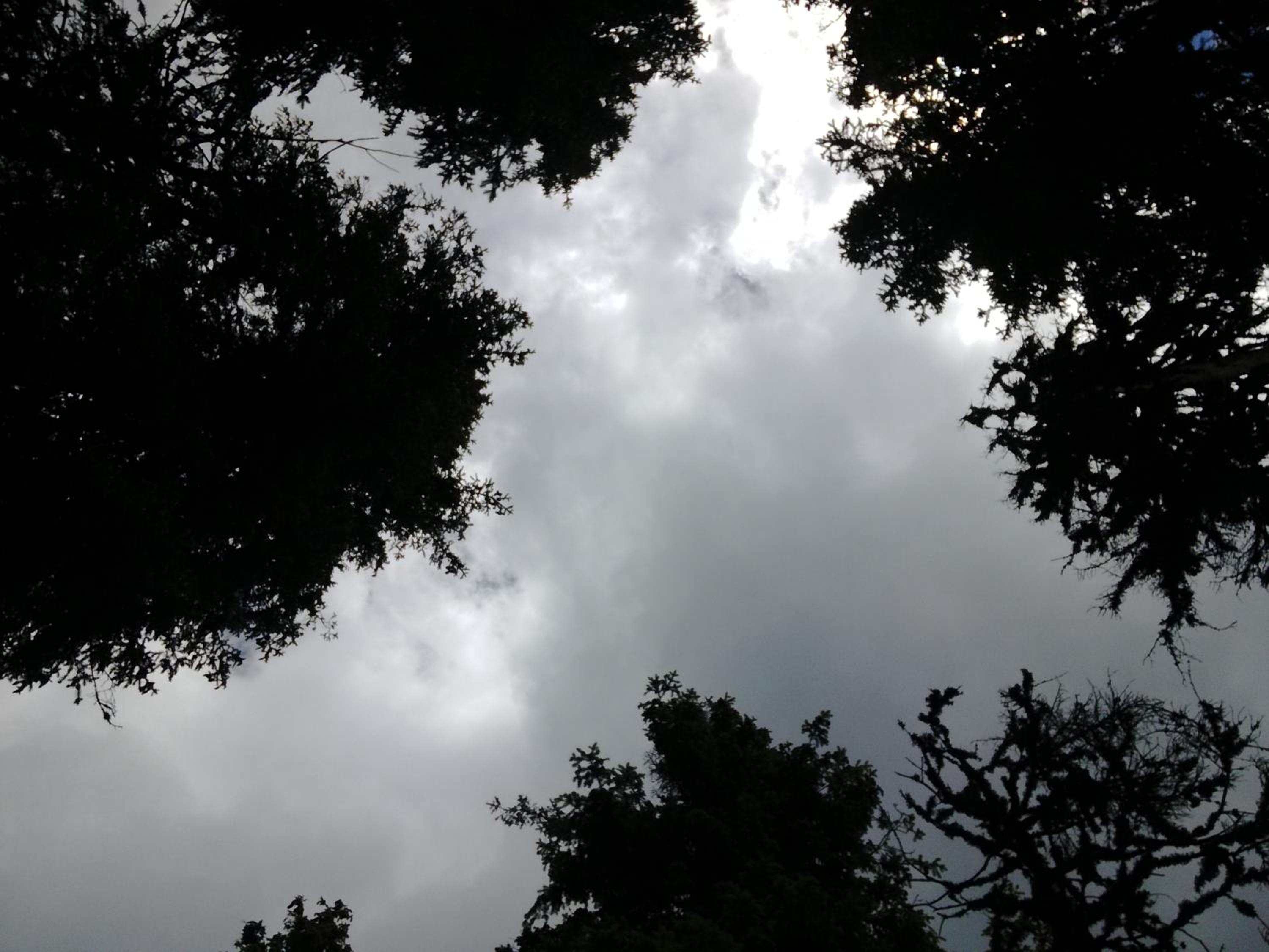 Photo 46