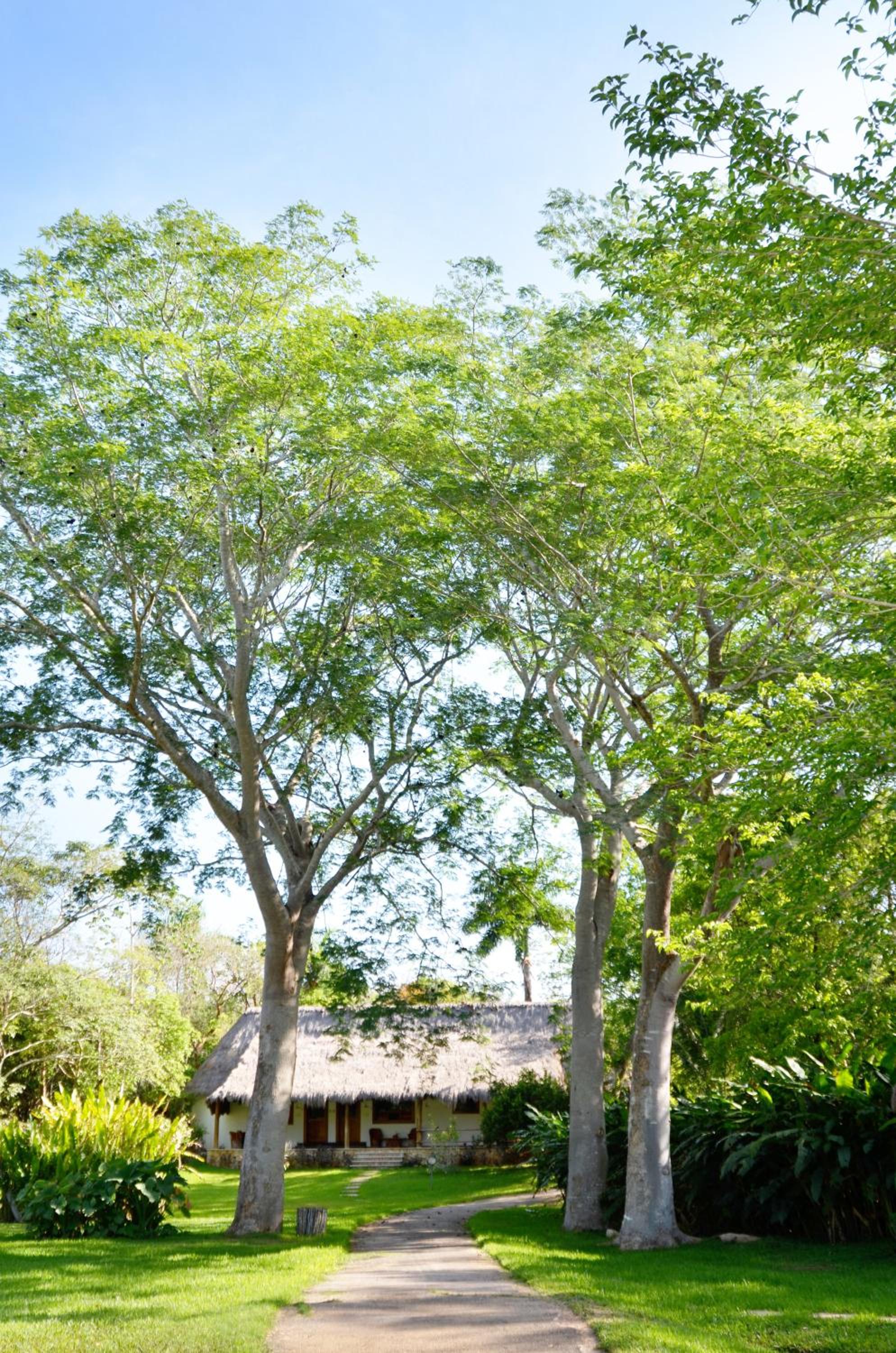 The Lodge at Chichen Itza