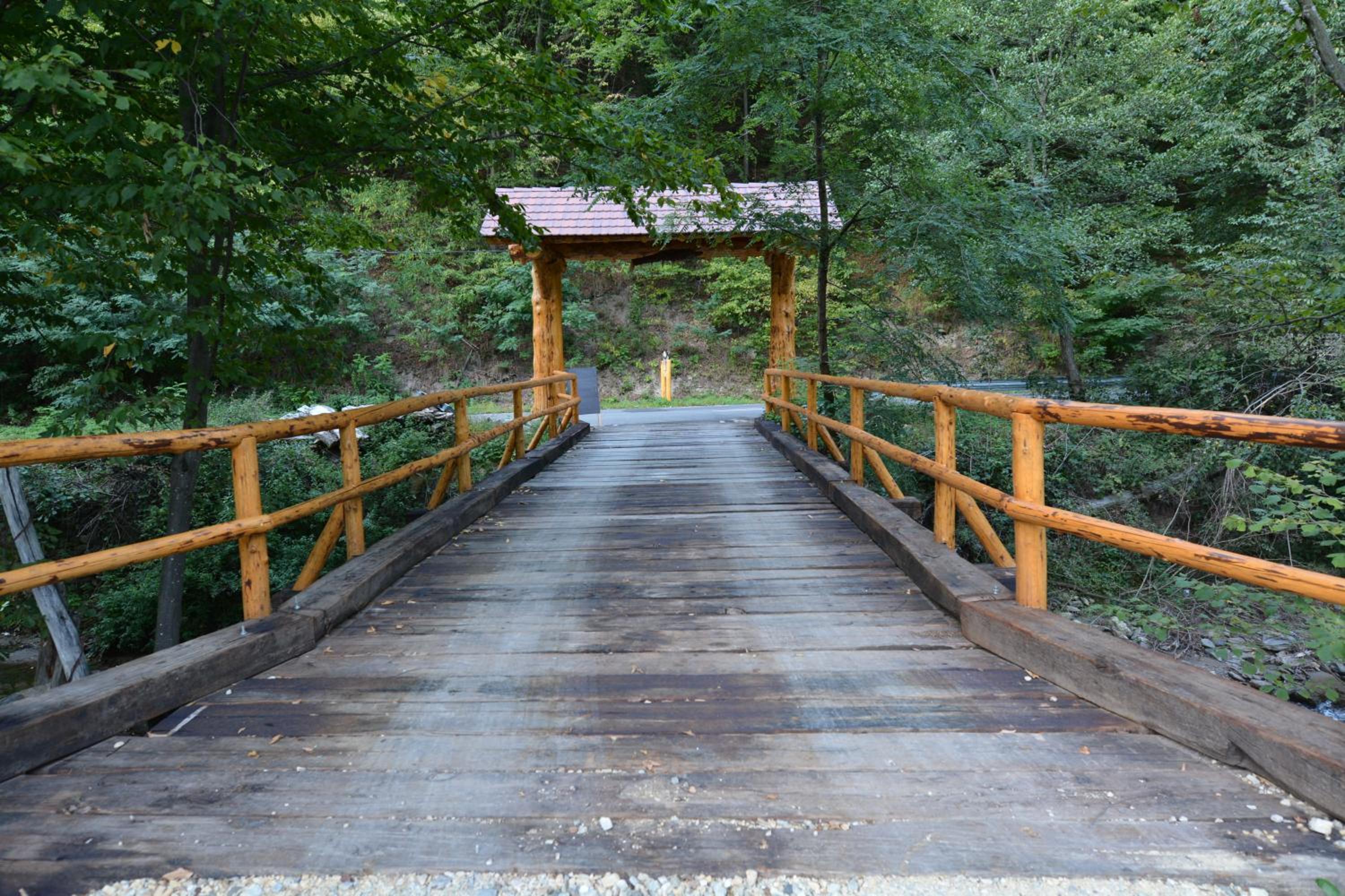 Photo 28