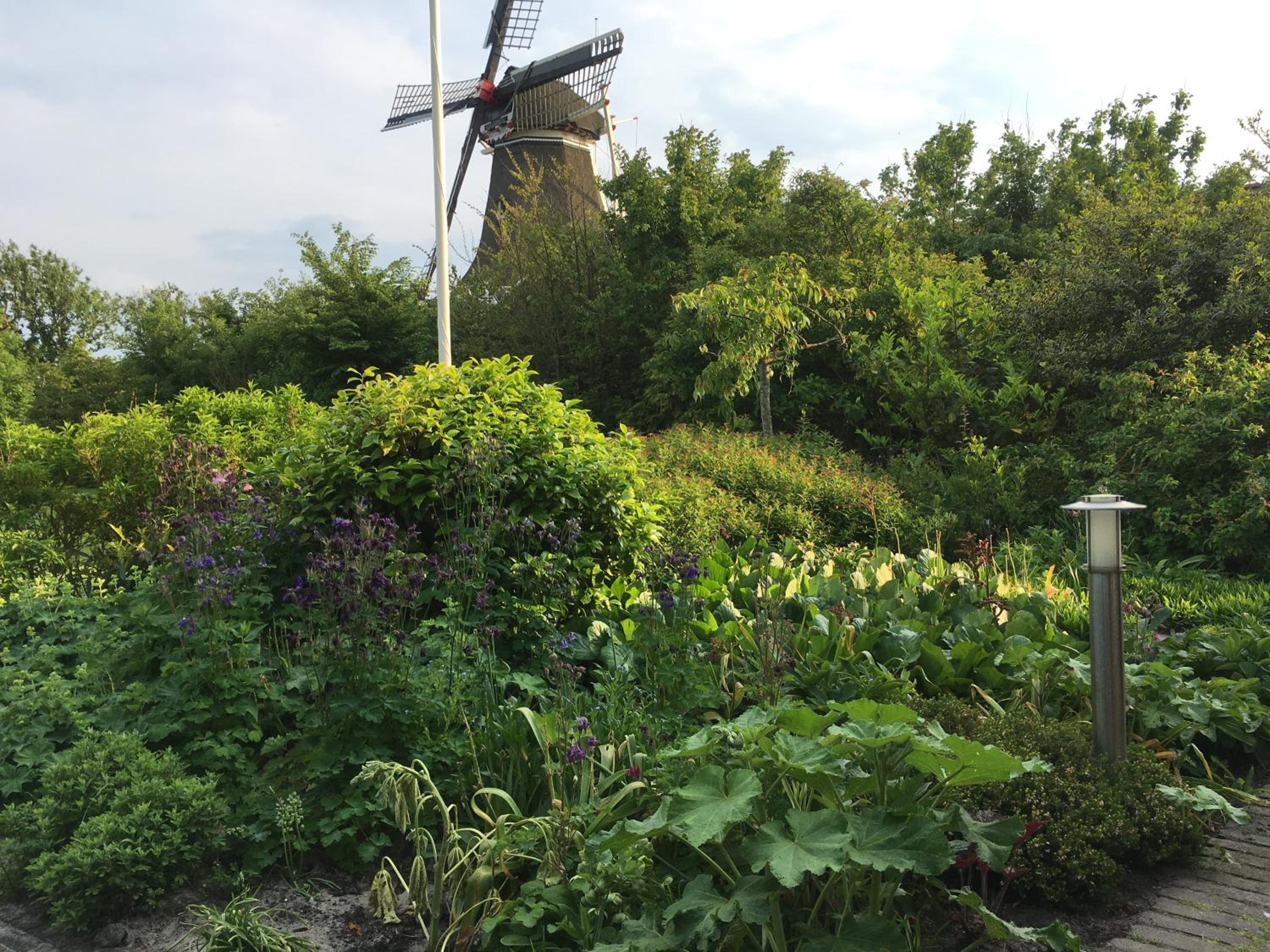 Photo 21