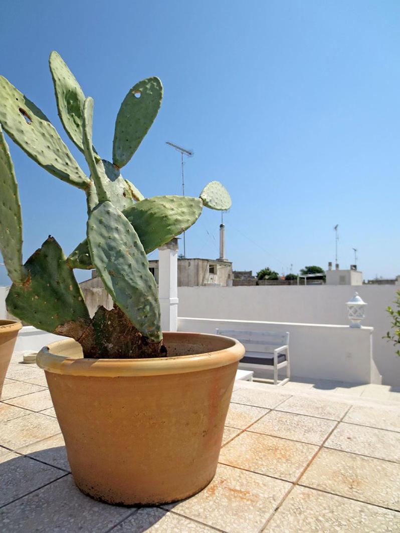 B&B PALAZZO MARZO