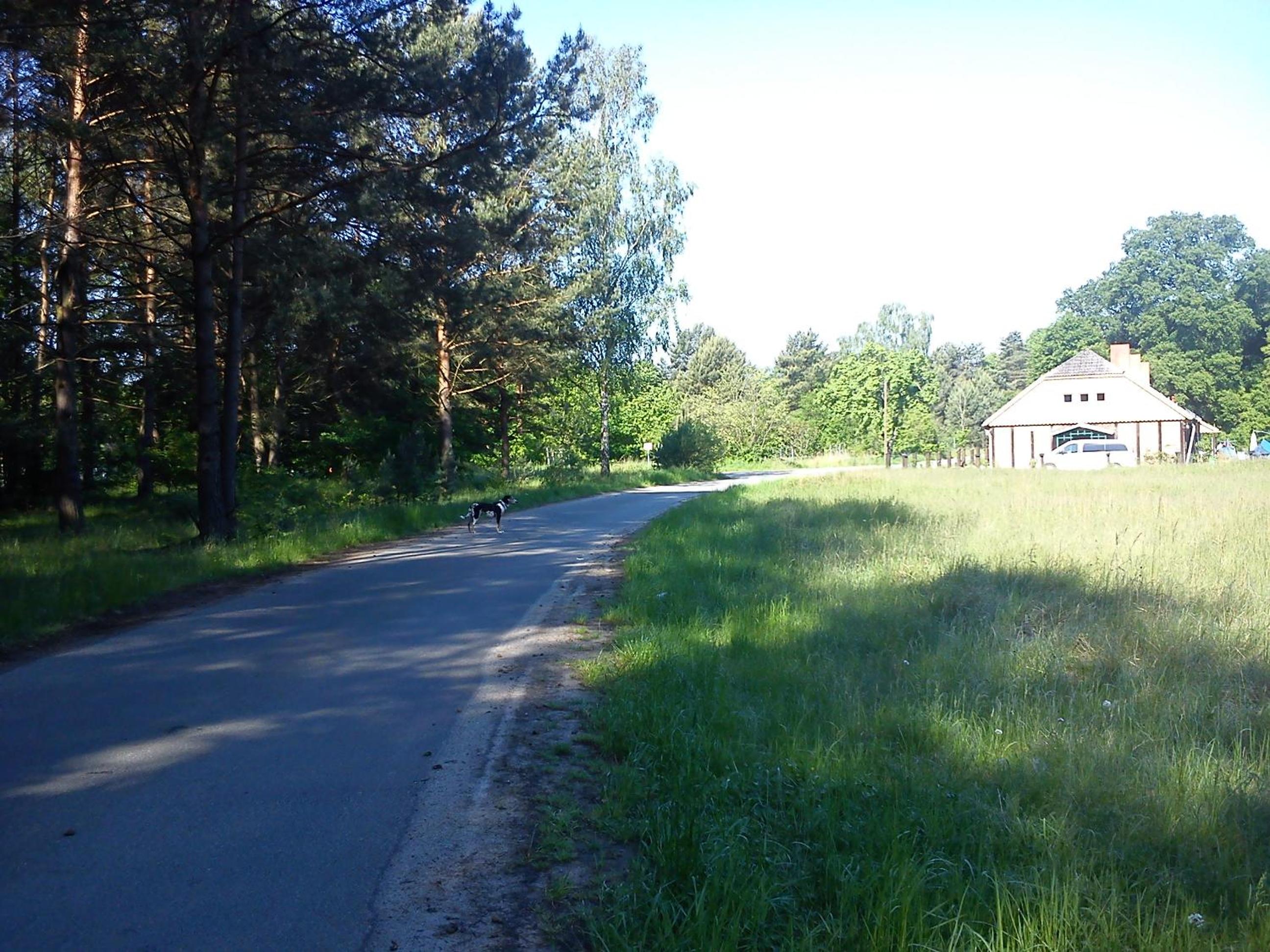 Ferienwohnungen 3 Birken view 4