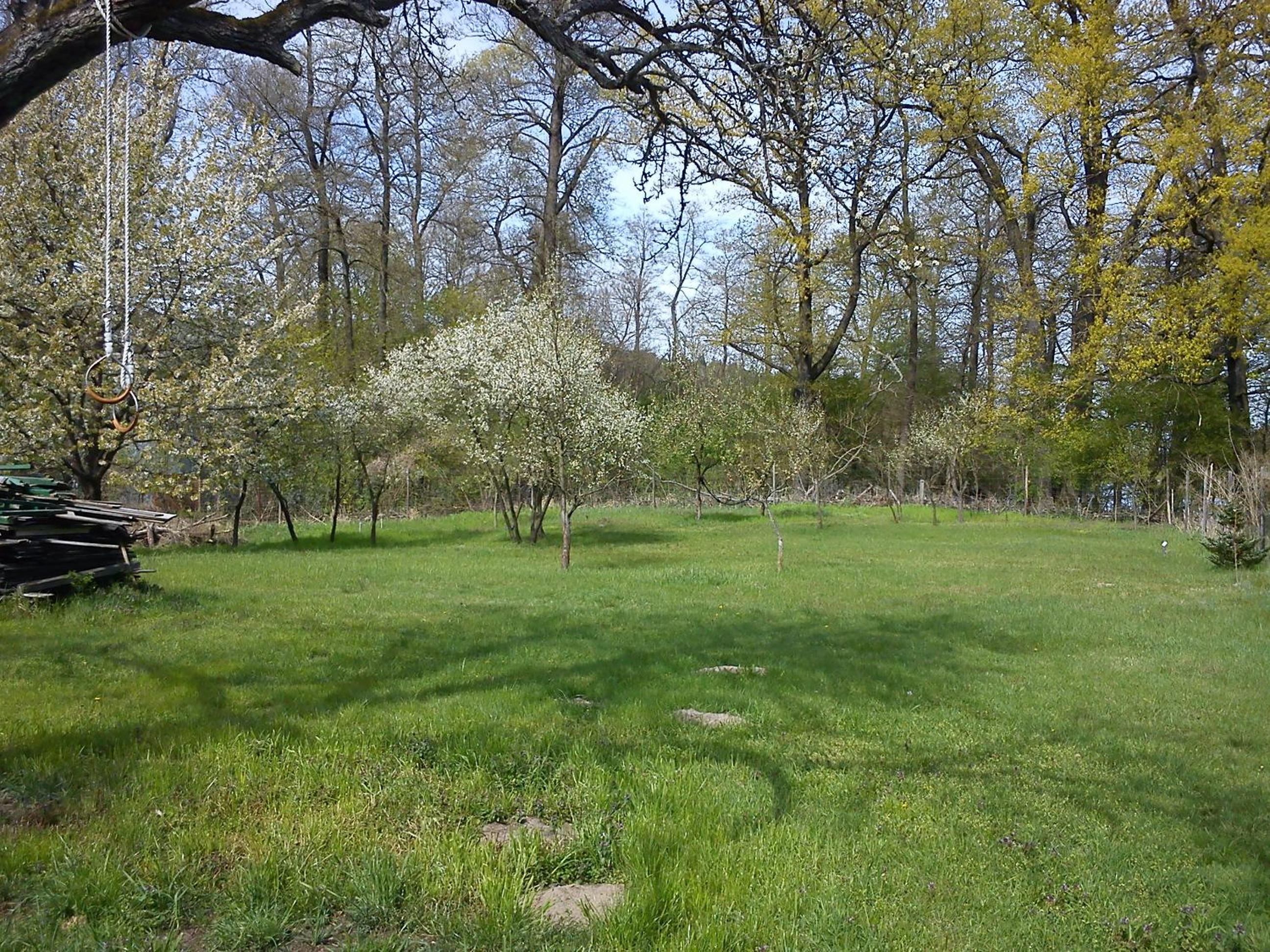 Ferienwohnungen 3 Birken view 5