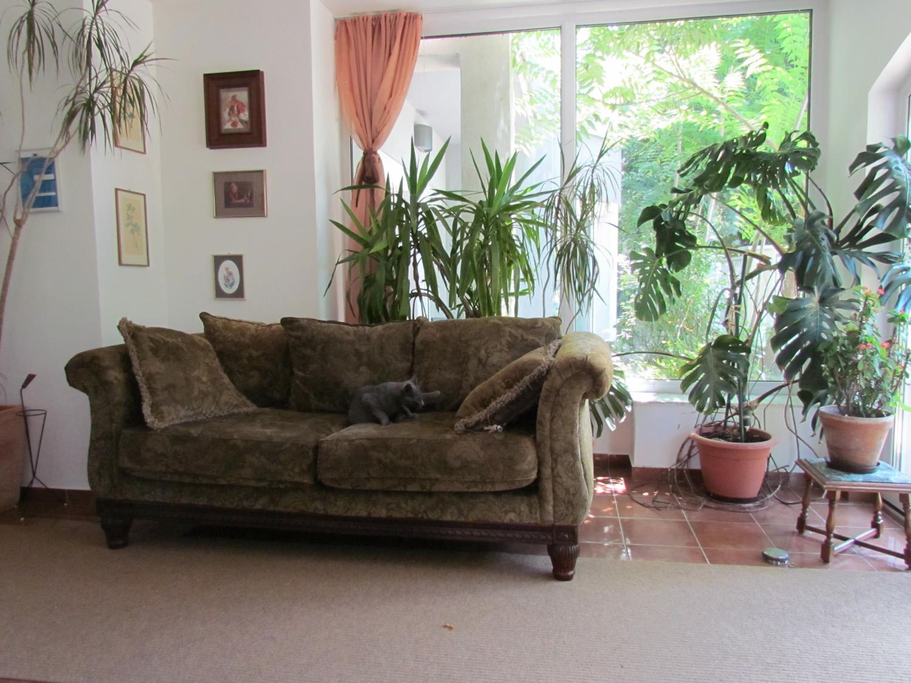 Photo 79