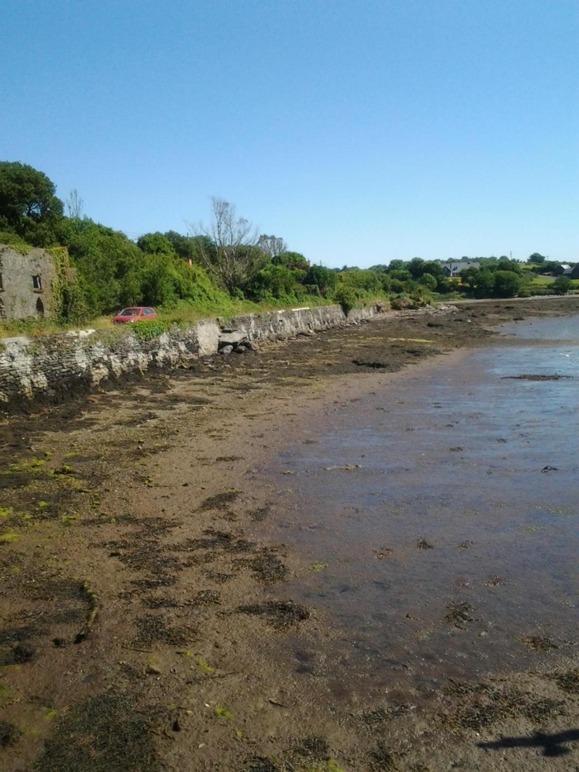 Sea Lodge B&B