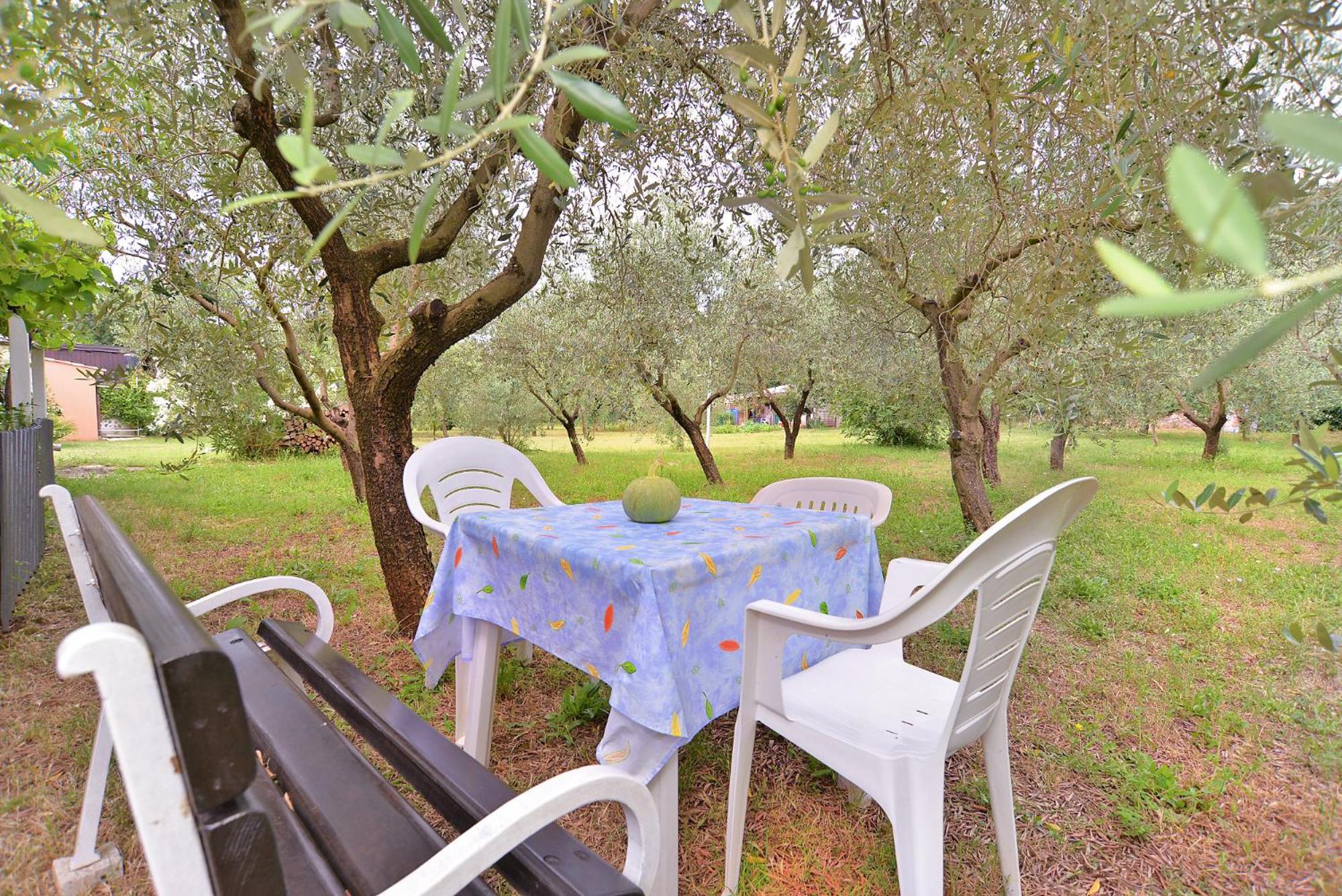 Apartments Dragica 929