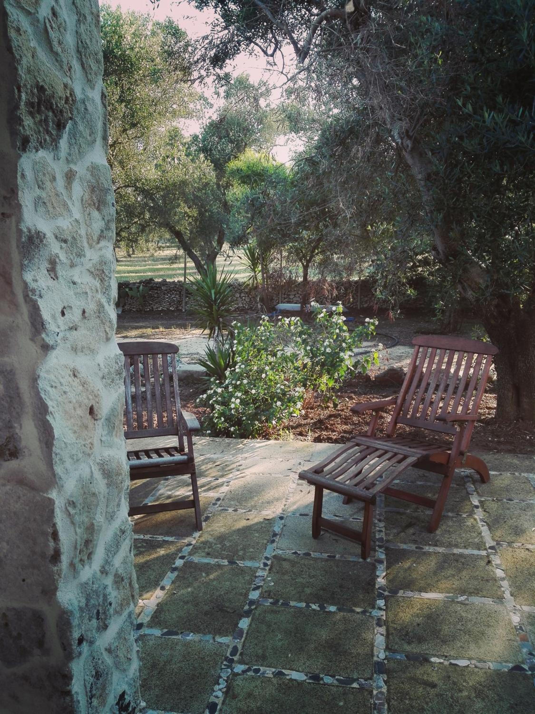 Photo 33