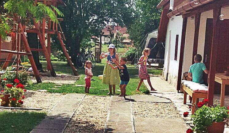 Photo 43