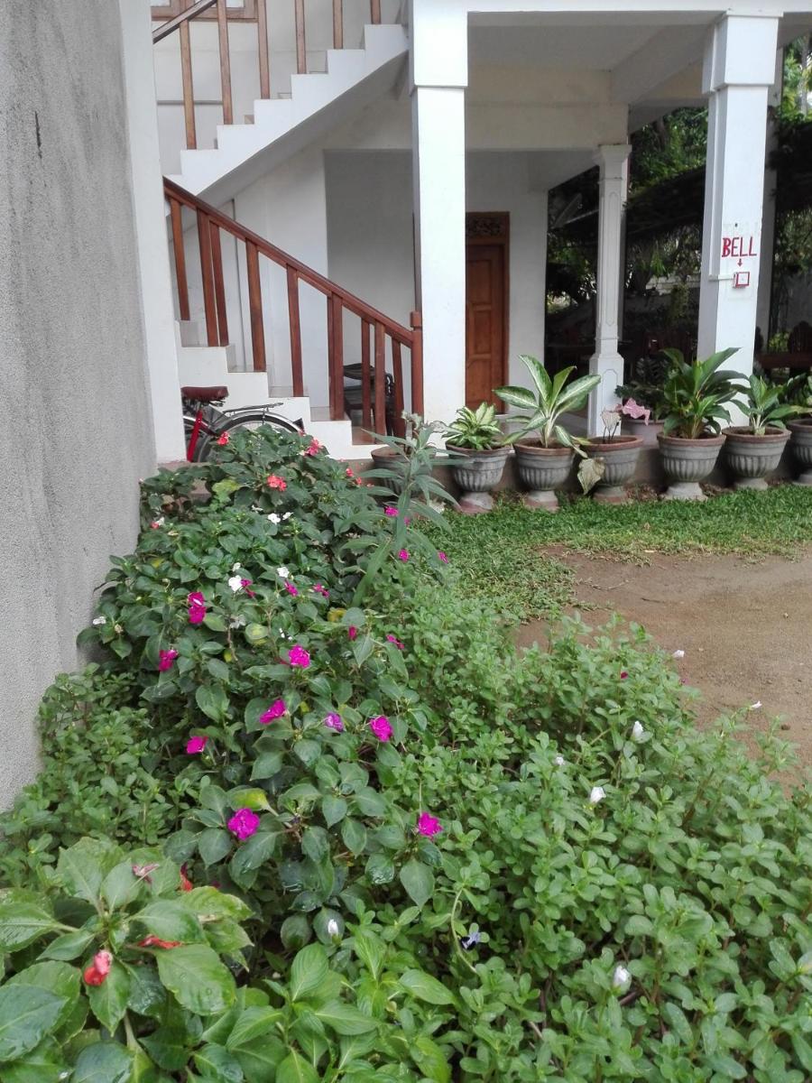 Photo 23