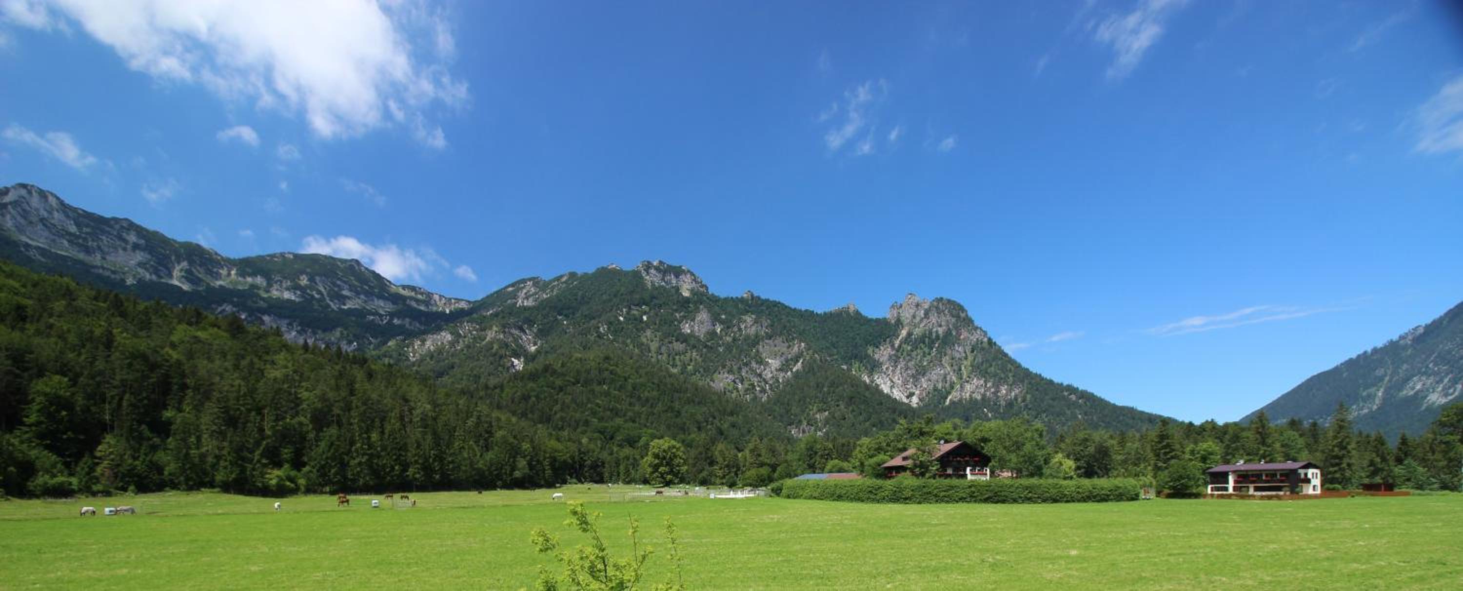 Ferienwohnung 1 Gestüt Pfaffenlehen view 4