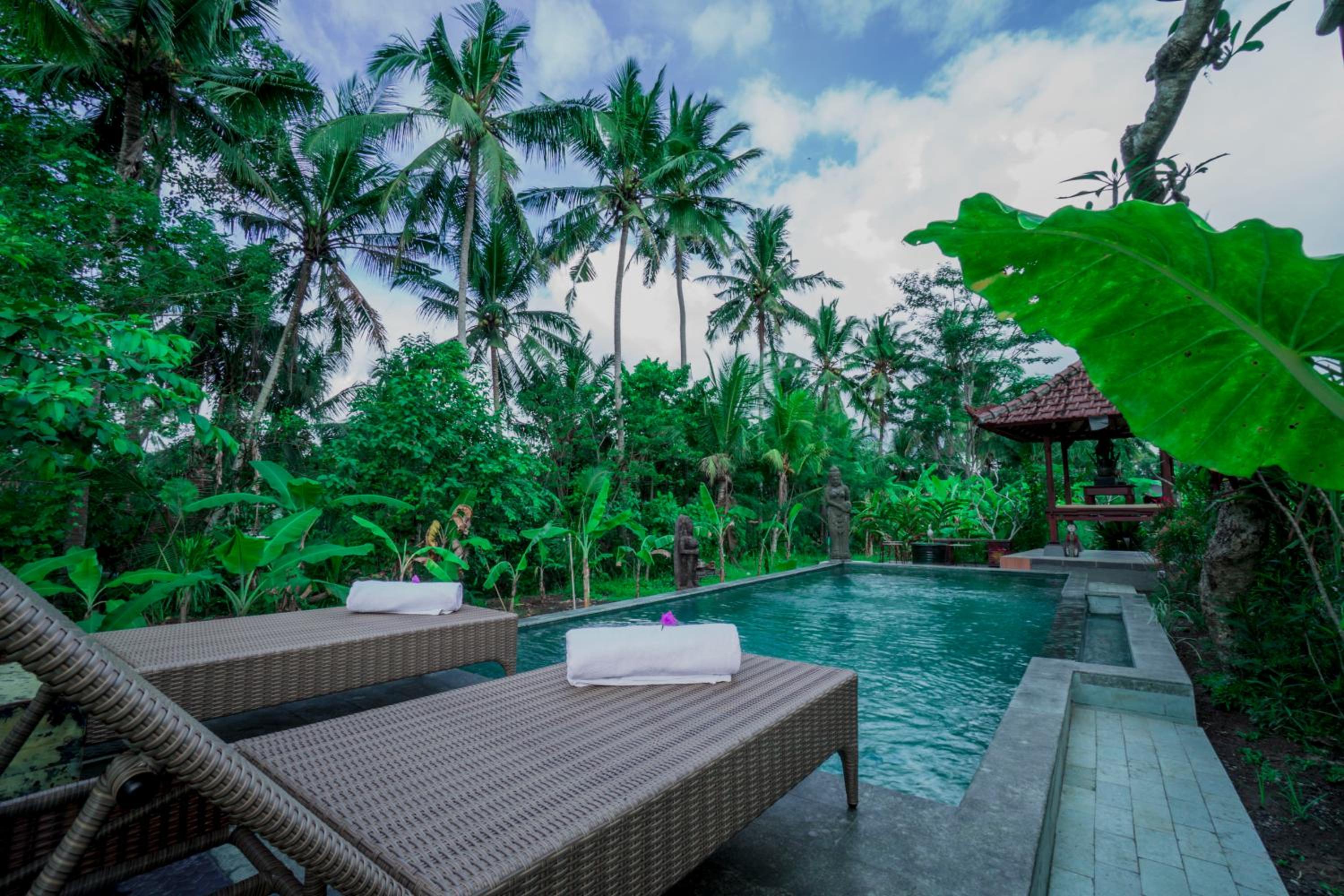 Vinayaka Ubud view 5