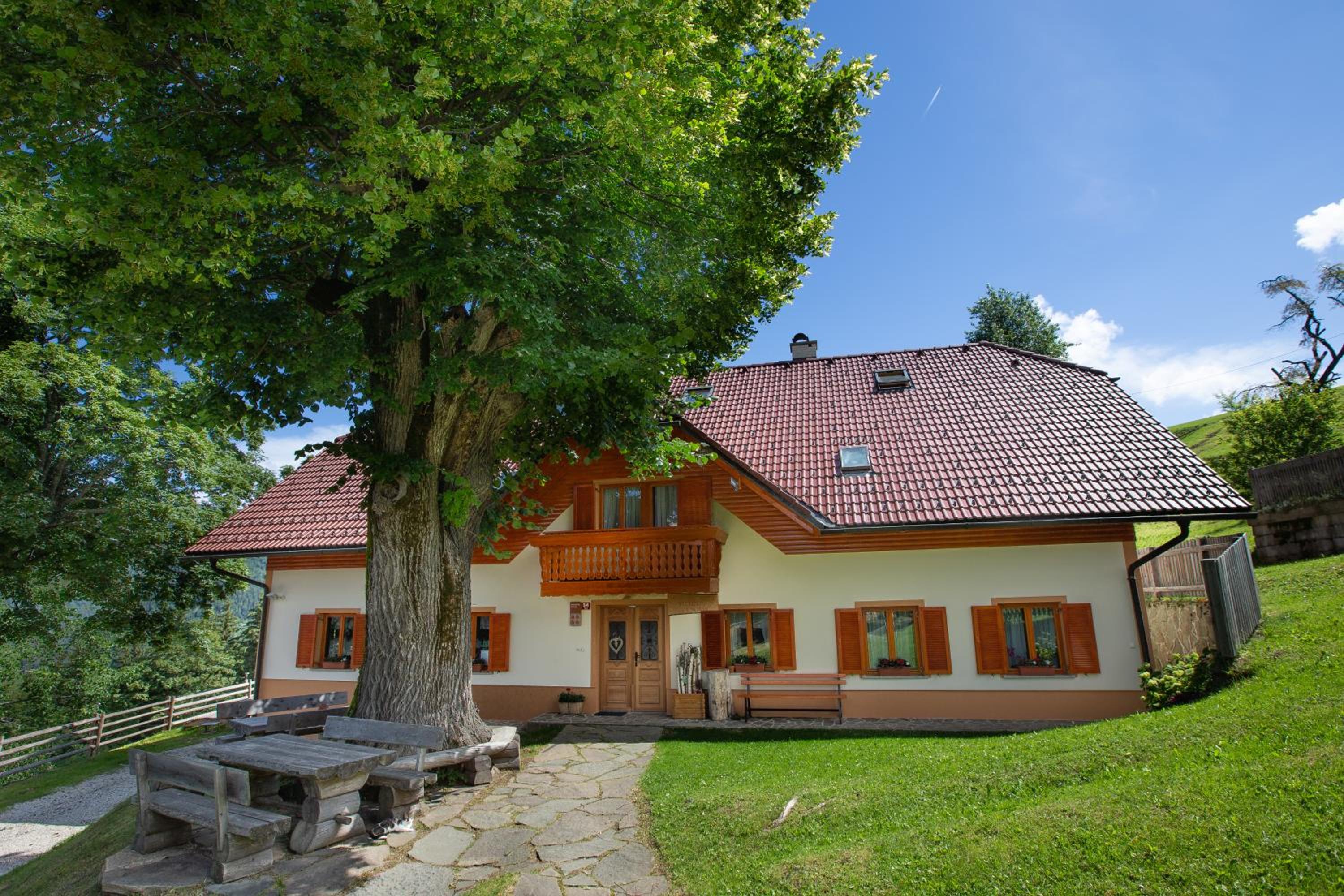 Photo 31