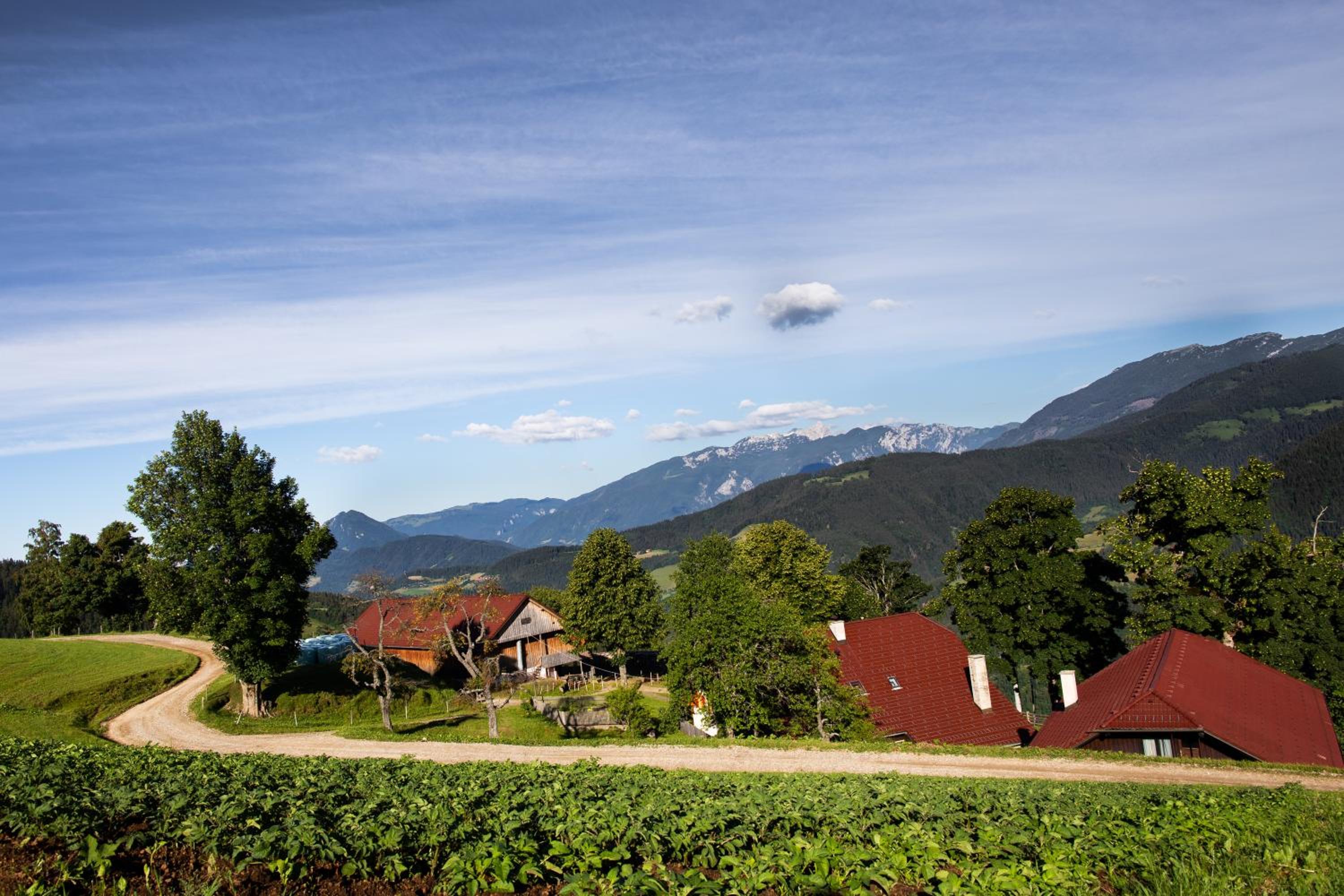 Farmstay&Glamping Visočnik view 3