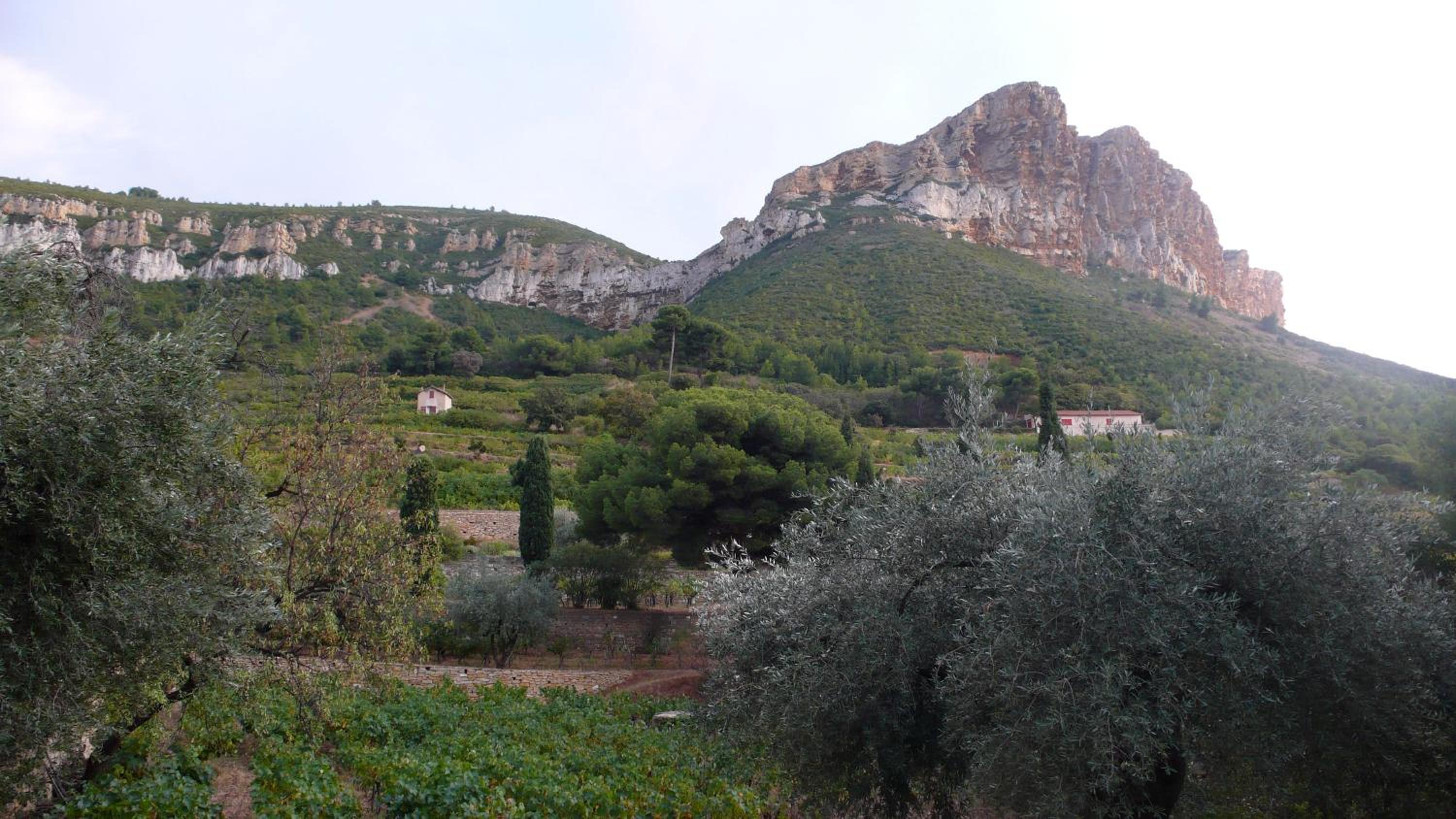 Photo 14
