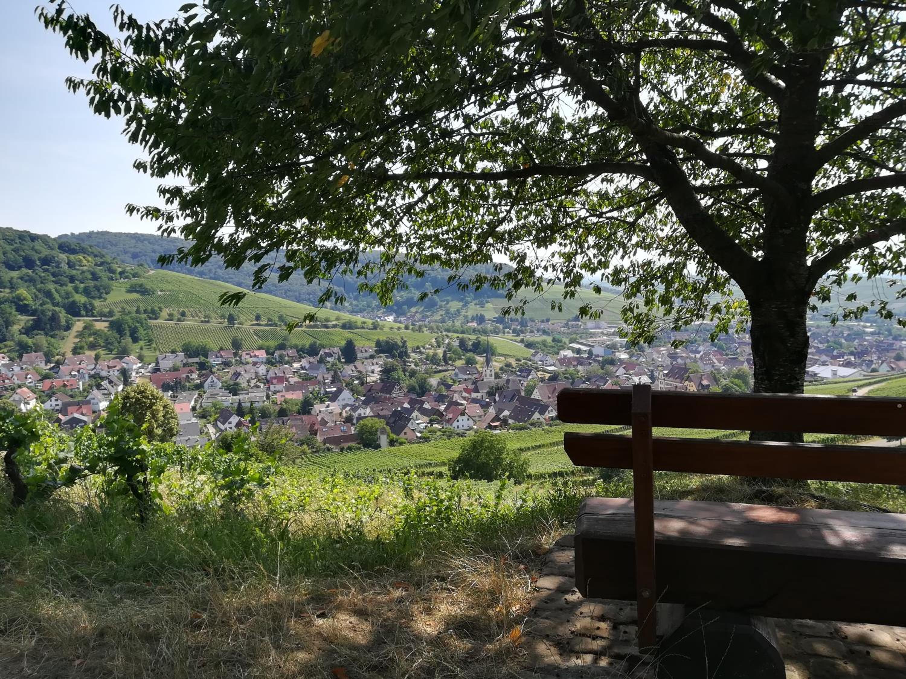 Apartment Schneeburg view 5