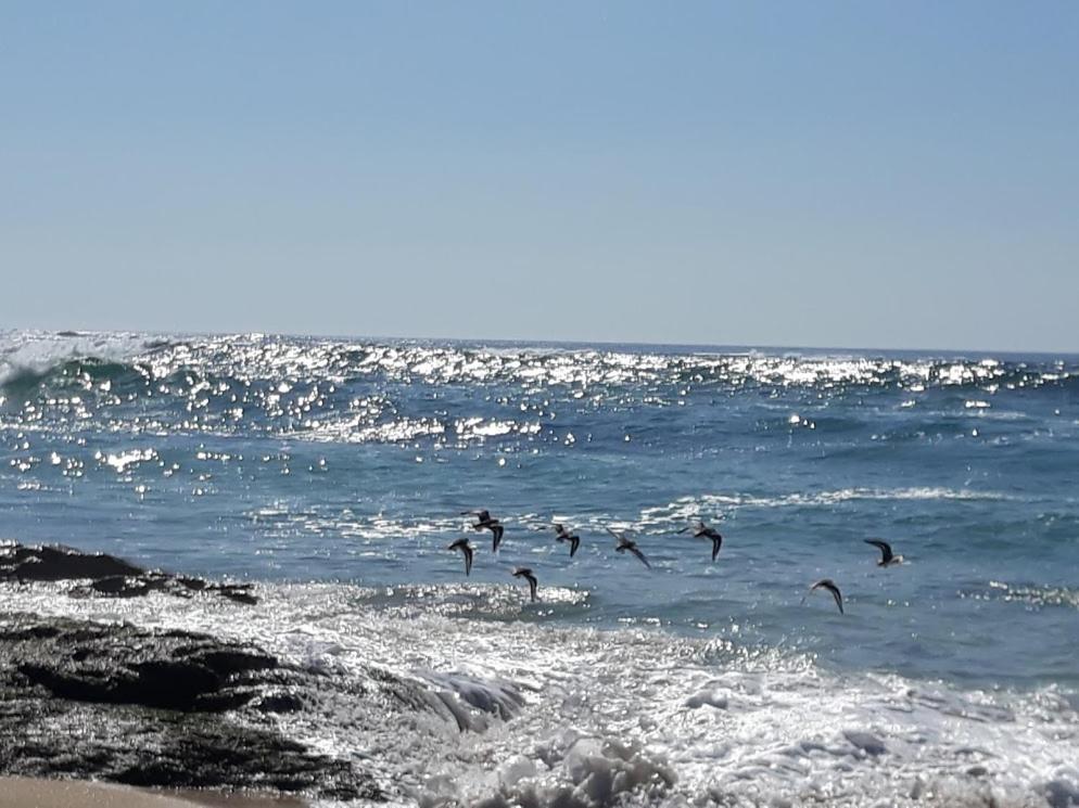 Hostal Balieiros Corrubedo