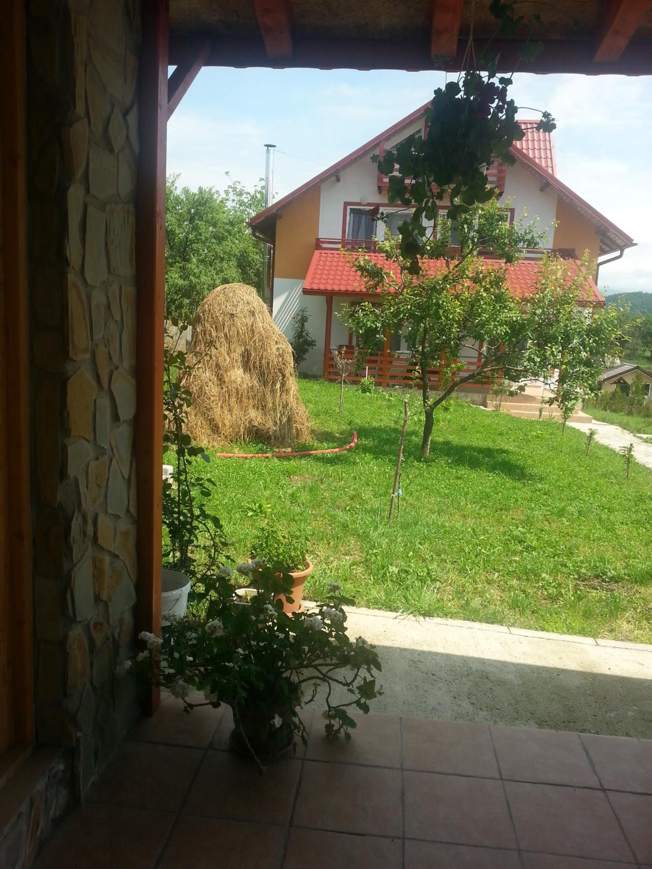 Photo 17