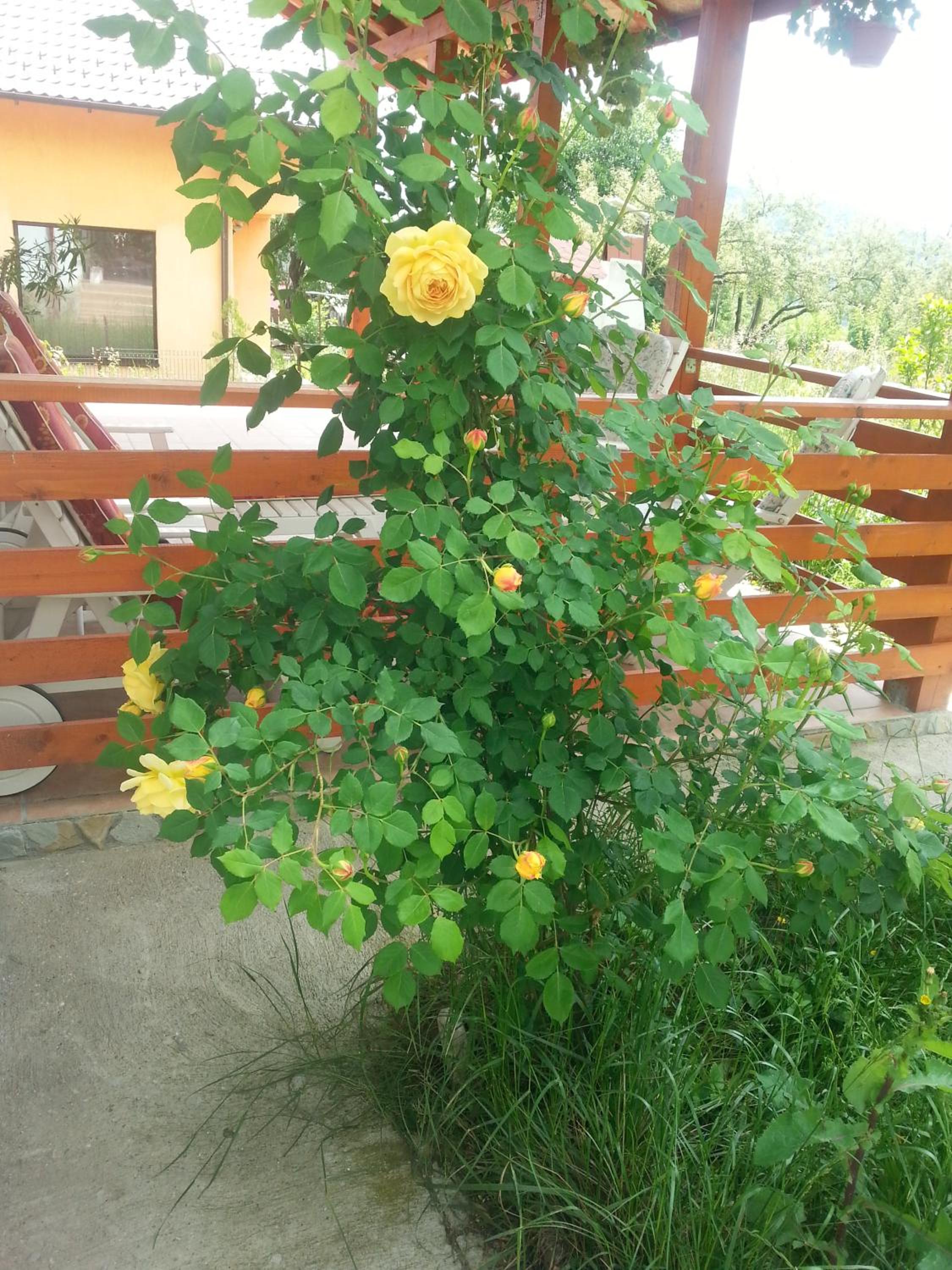 Photo 21