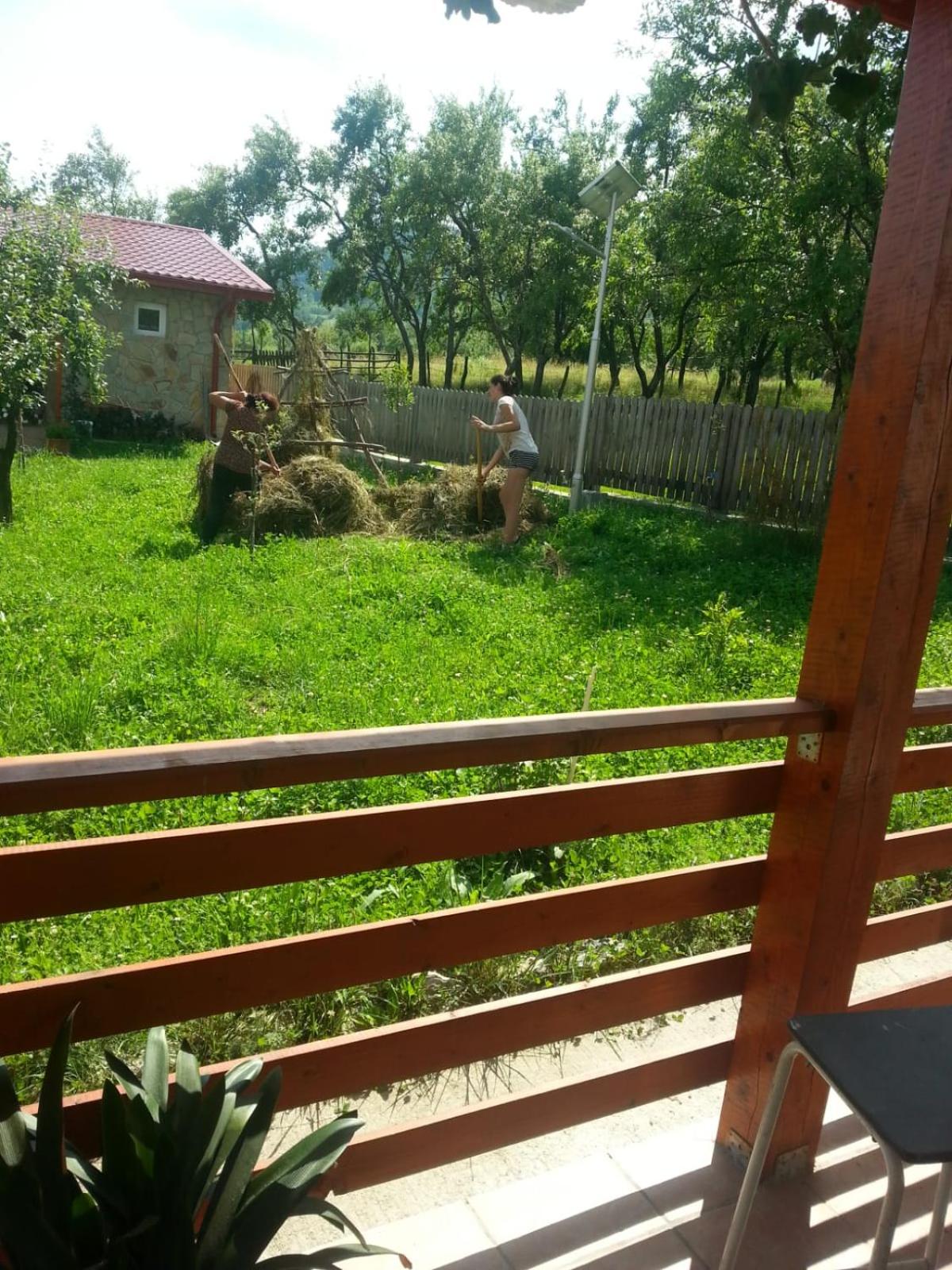 Photo 19