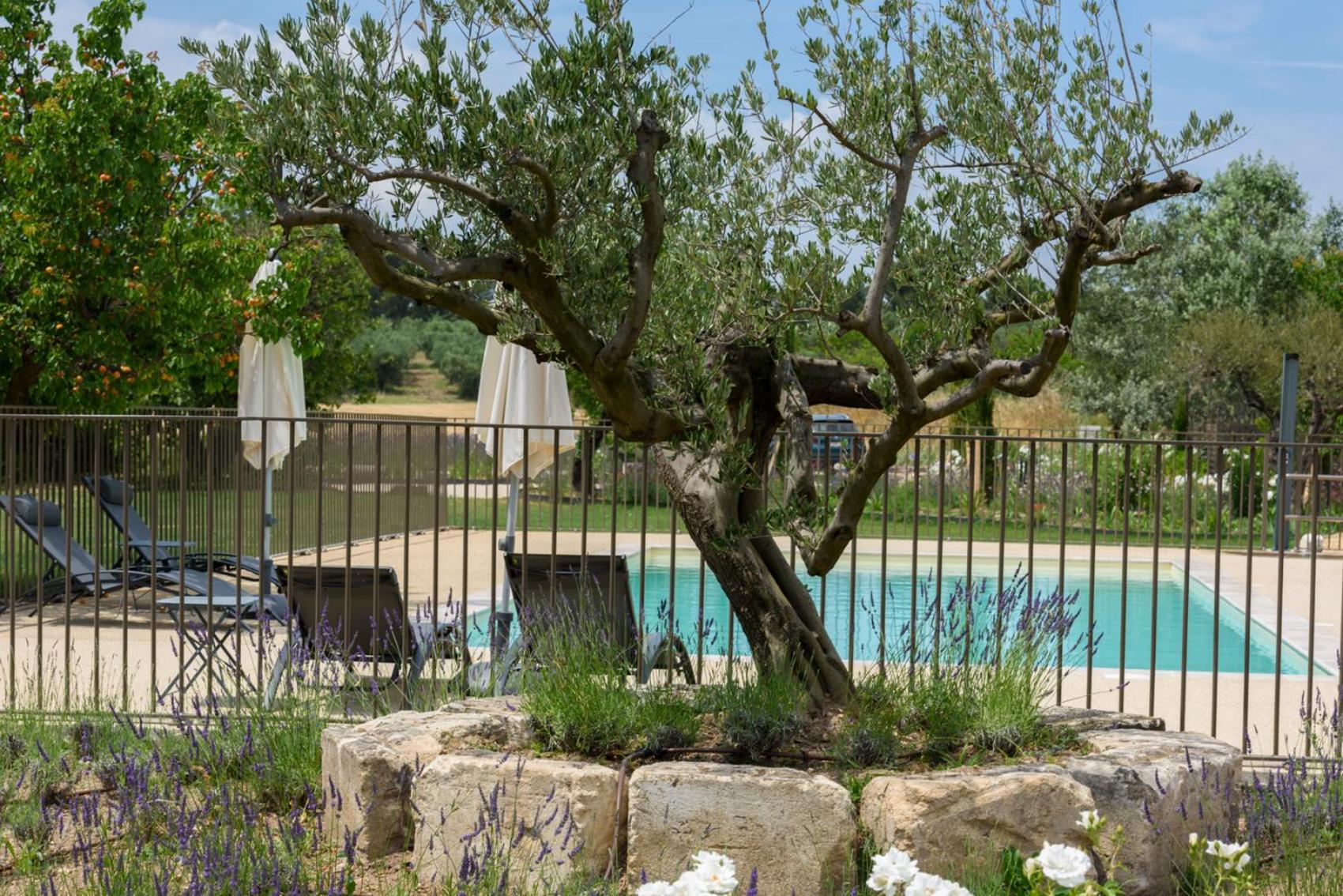 children's play area