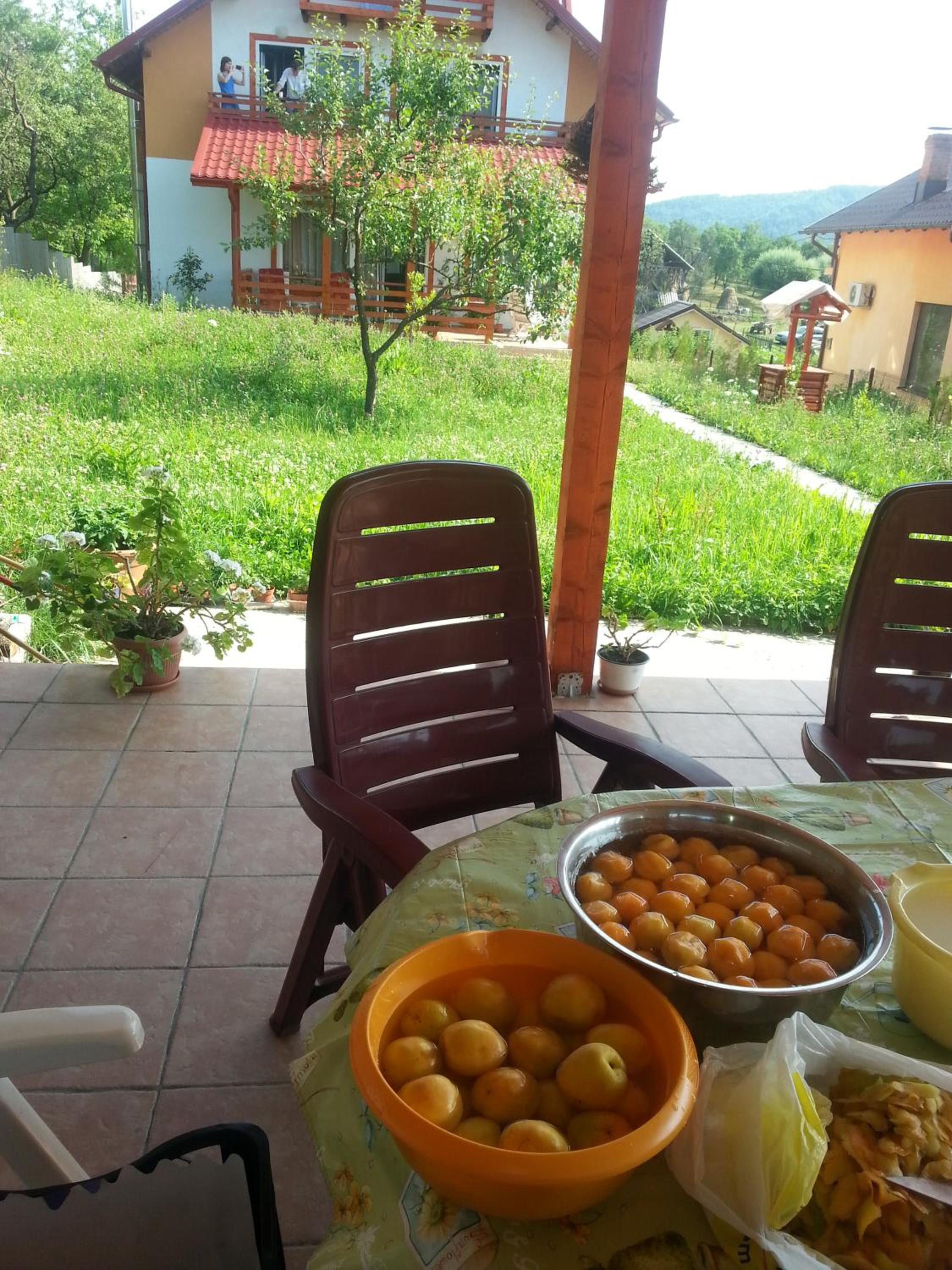 Photo 41