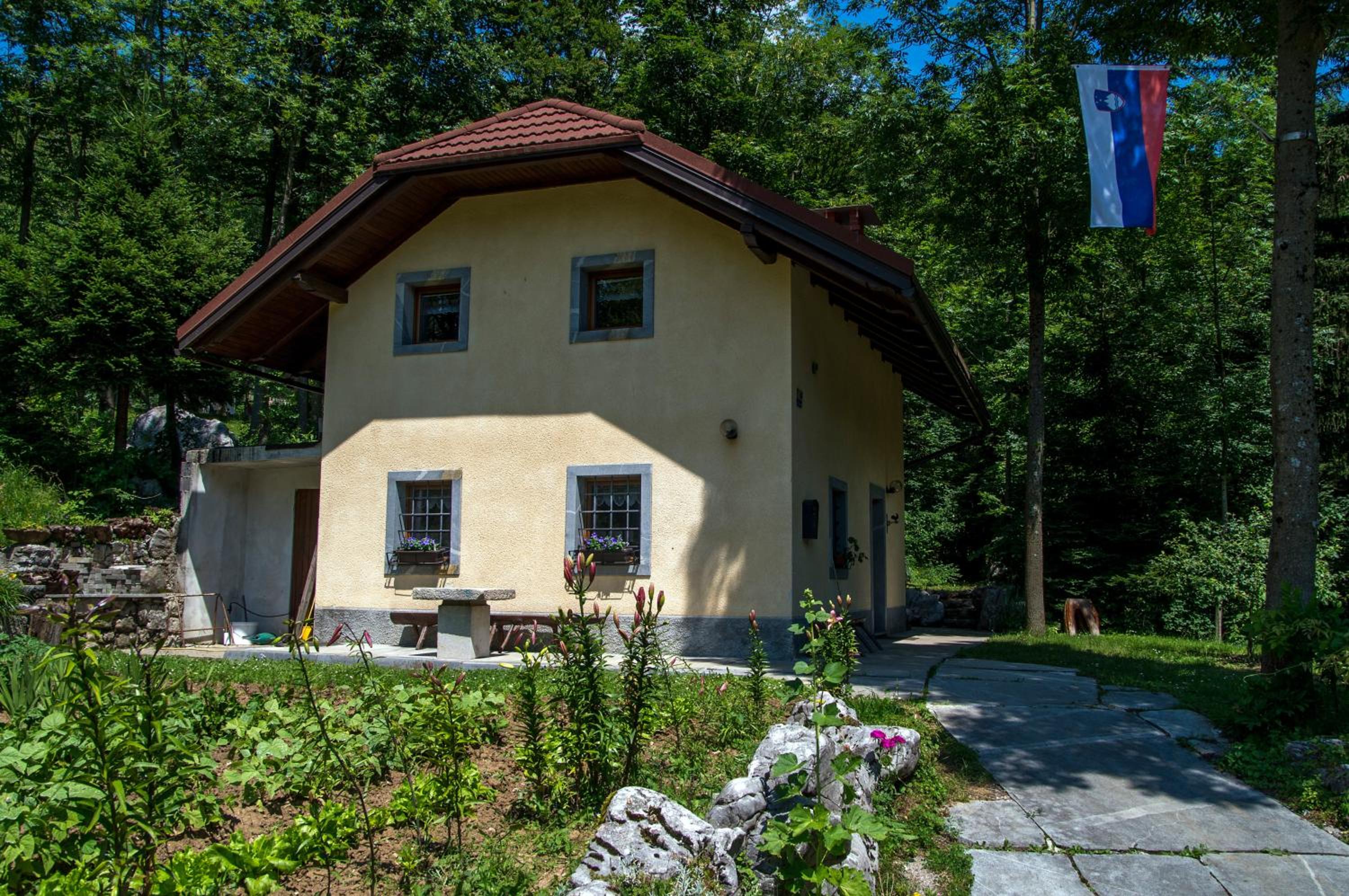 Photo 12