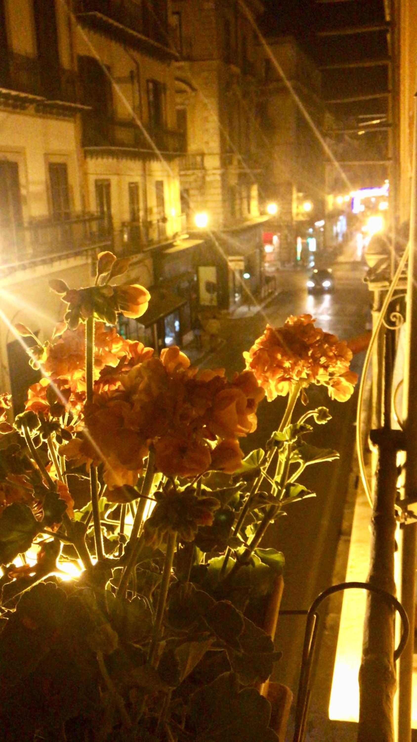 Via Vittorio Emanuele Apartment